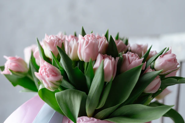 Delicate pastel tulips arranged in a neat bunch, with a soft pink ribbon, resting on a wooden table softly lit.
