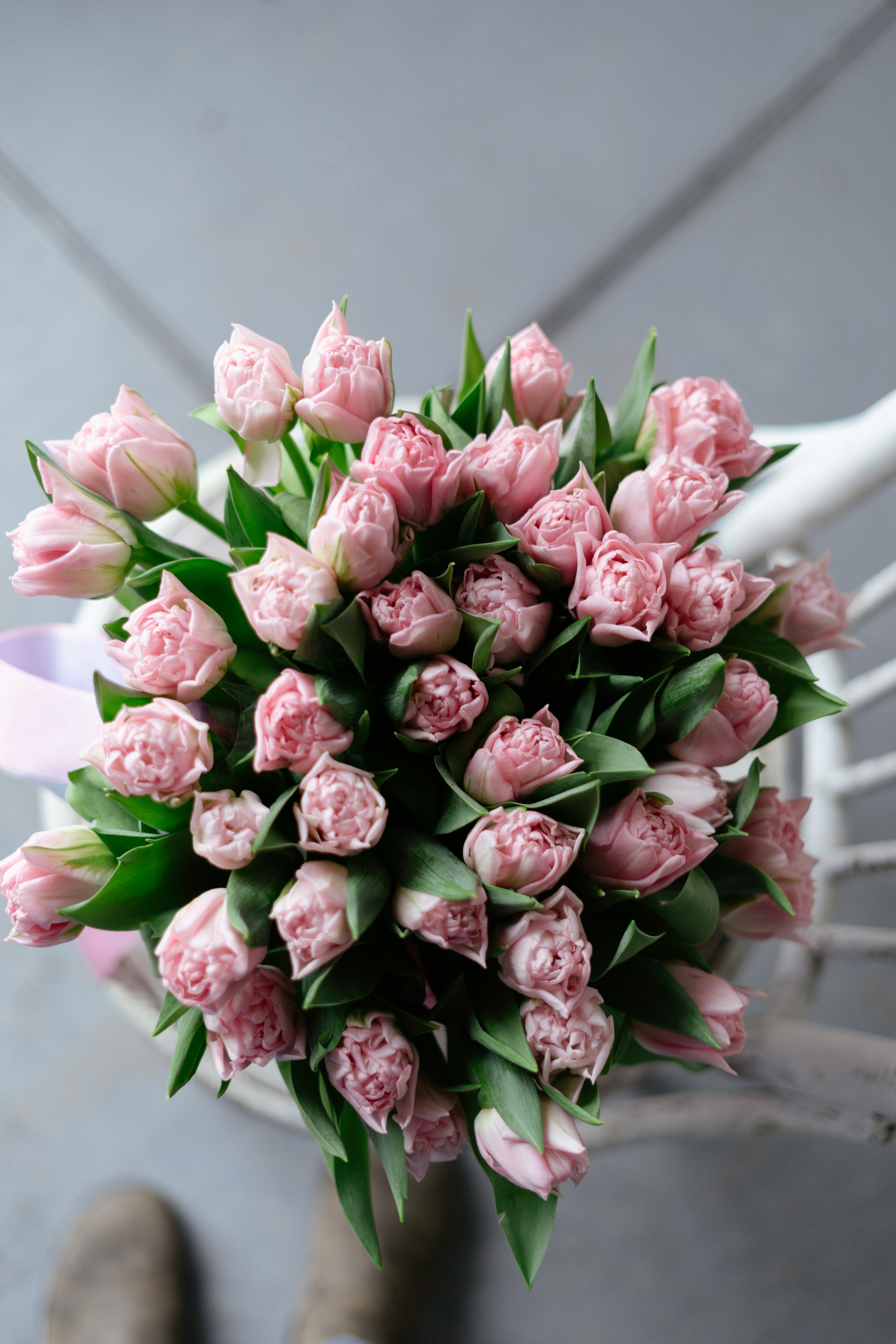 Photo by albina___white