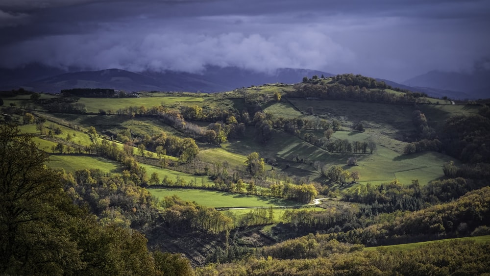 a lush green hillside covered in trees under a cloudy sky