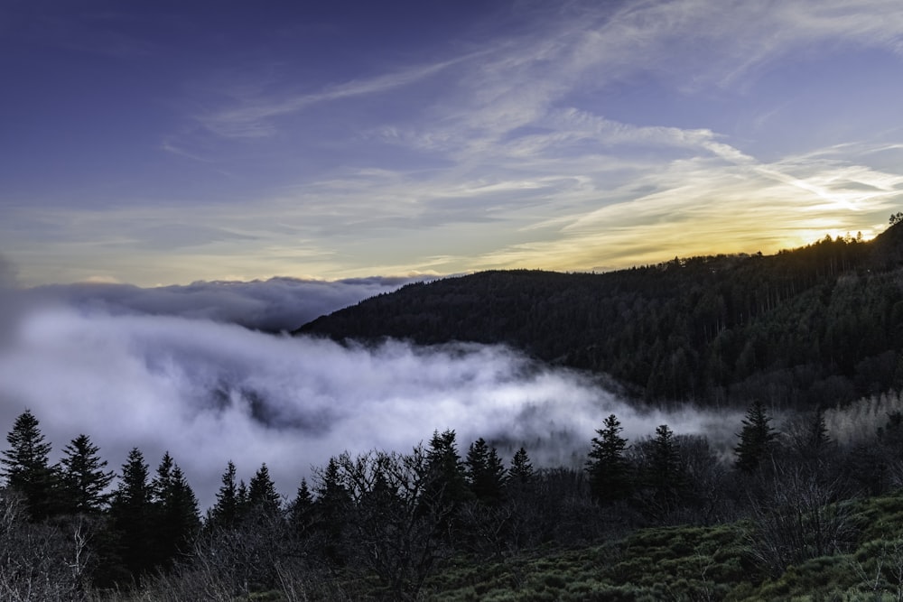 the sun is setting over a foggy valley