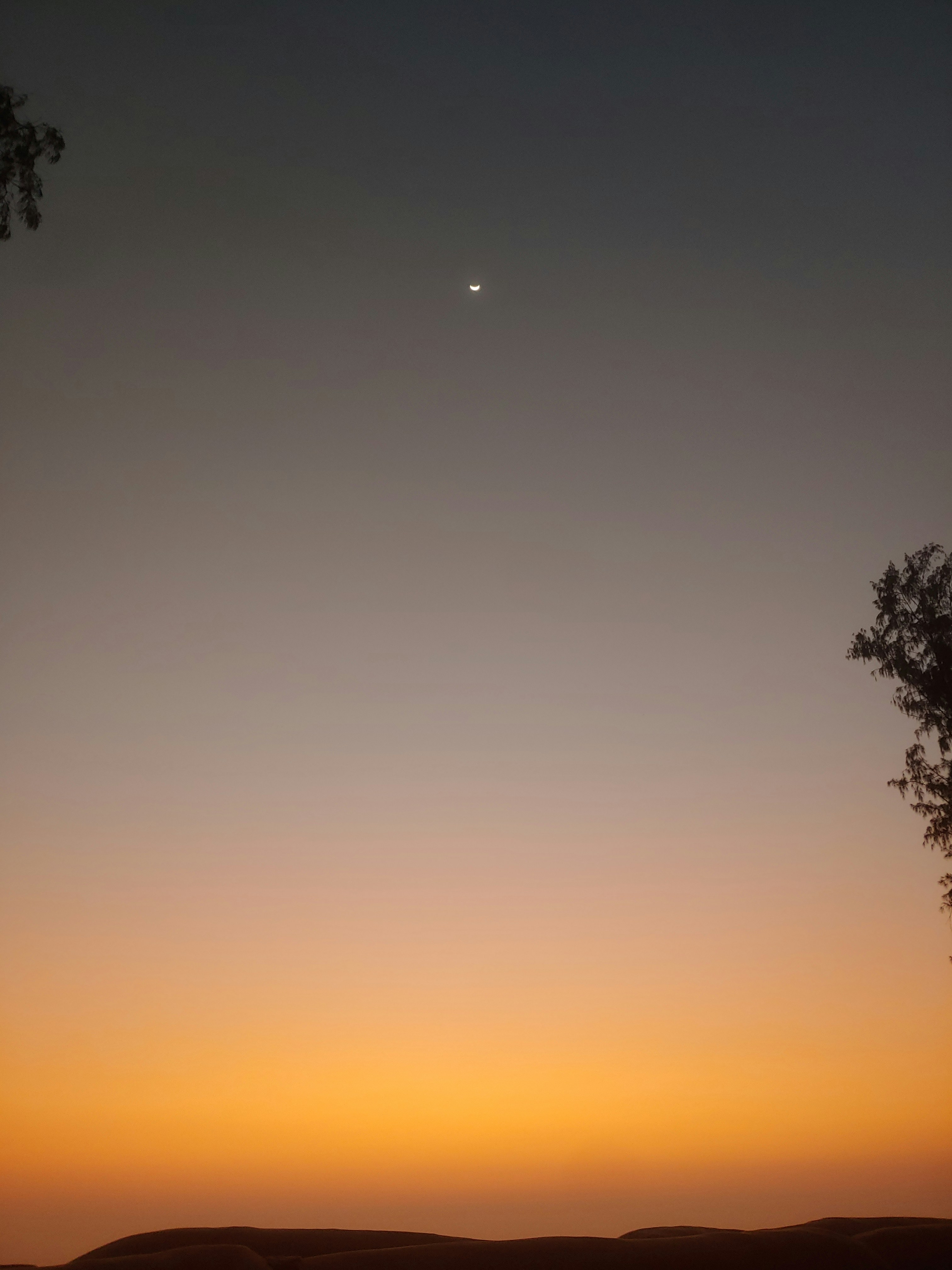 Photo by ripon_thewebguy