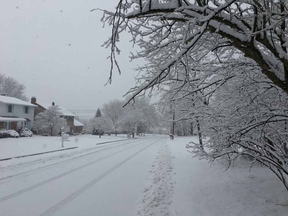 a snow covered street with houses and trees