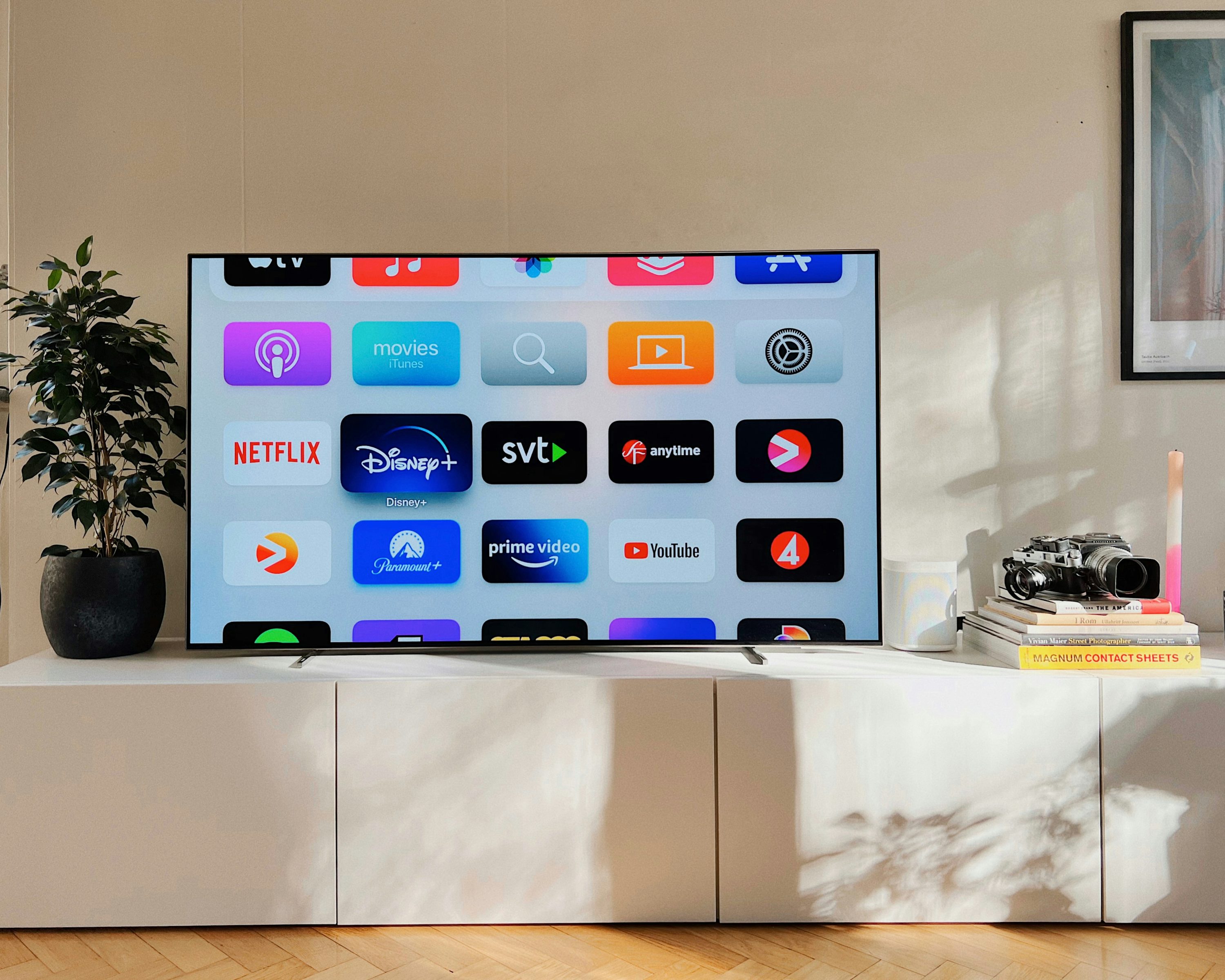 Modern living room with TV