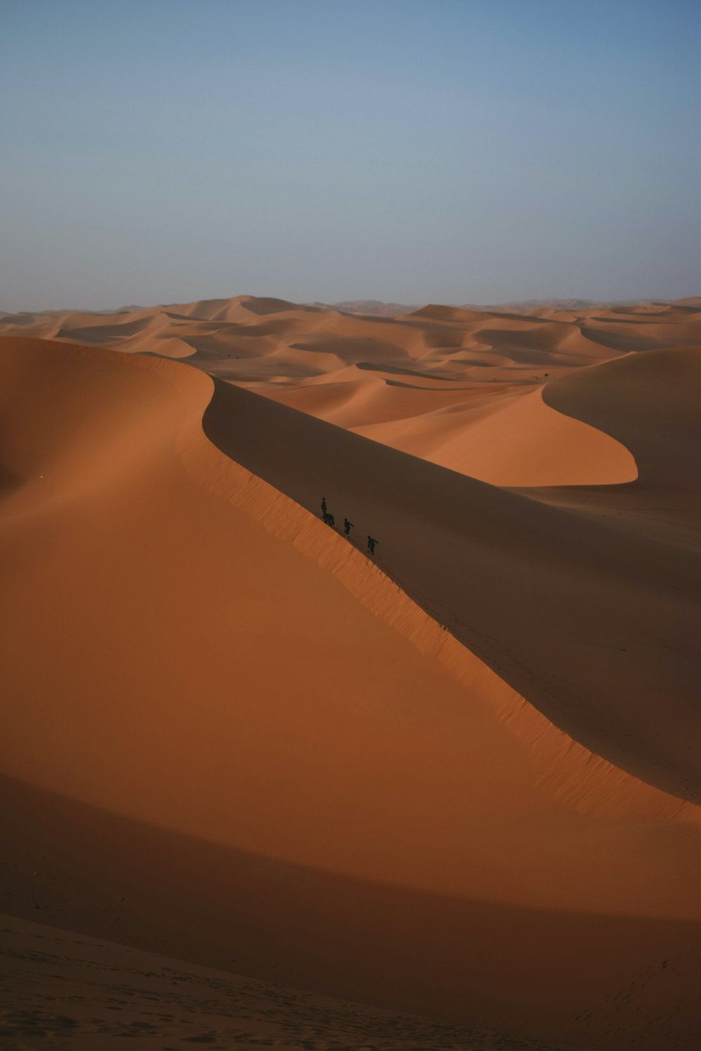 a group of people walking across a desert