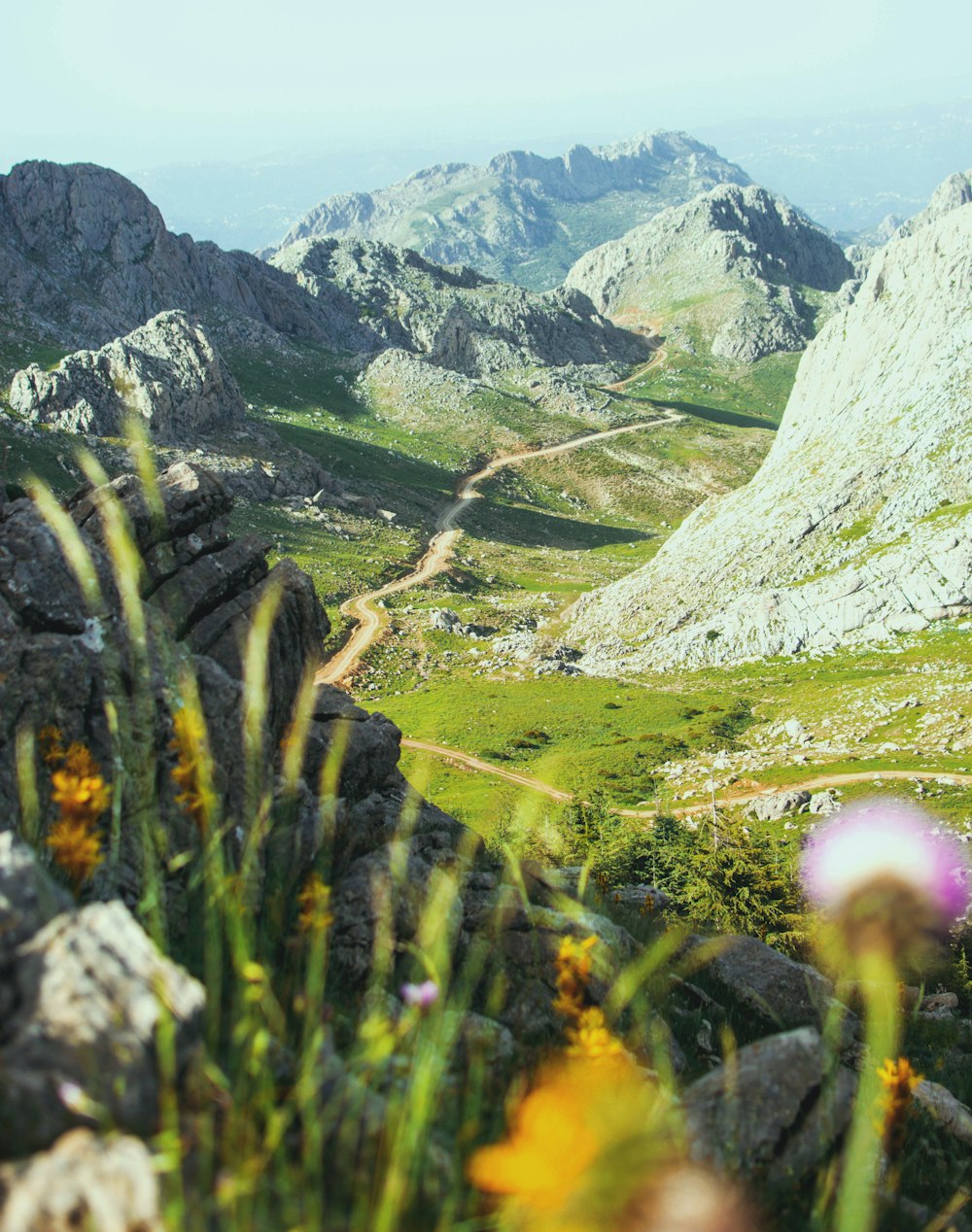 a view of a mountain with a trail going through it