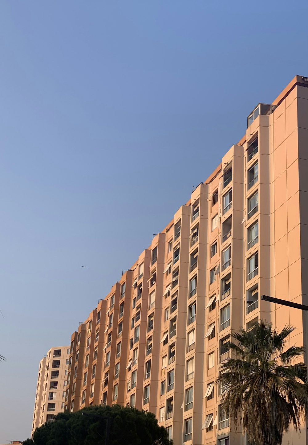 a tall building with many windows next to a palm tree