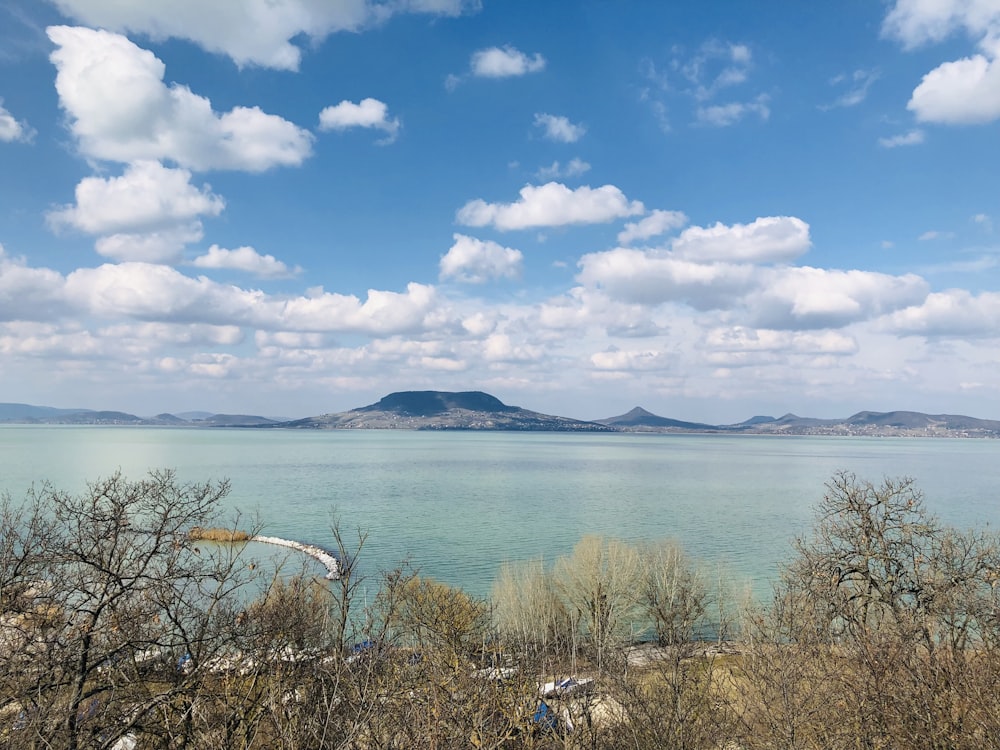 a large body of water surrounded by trees