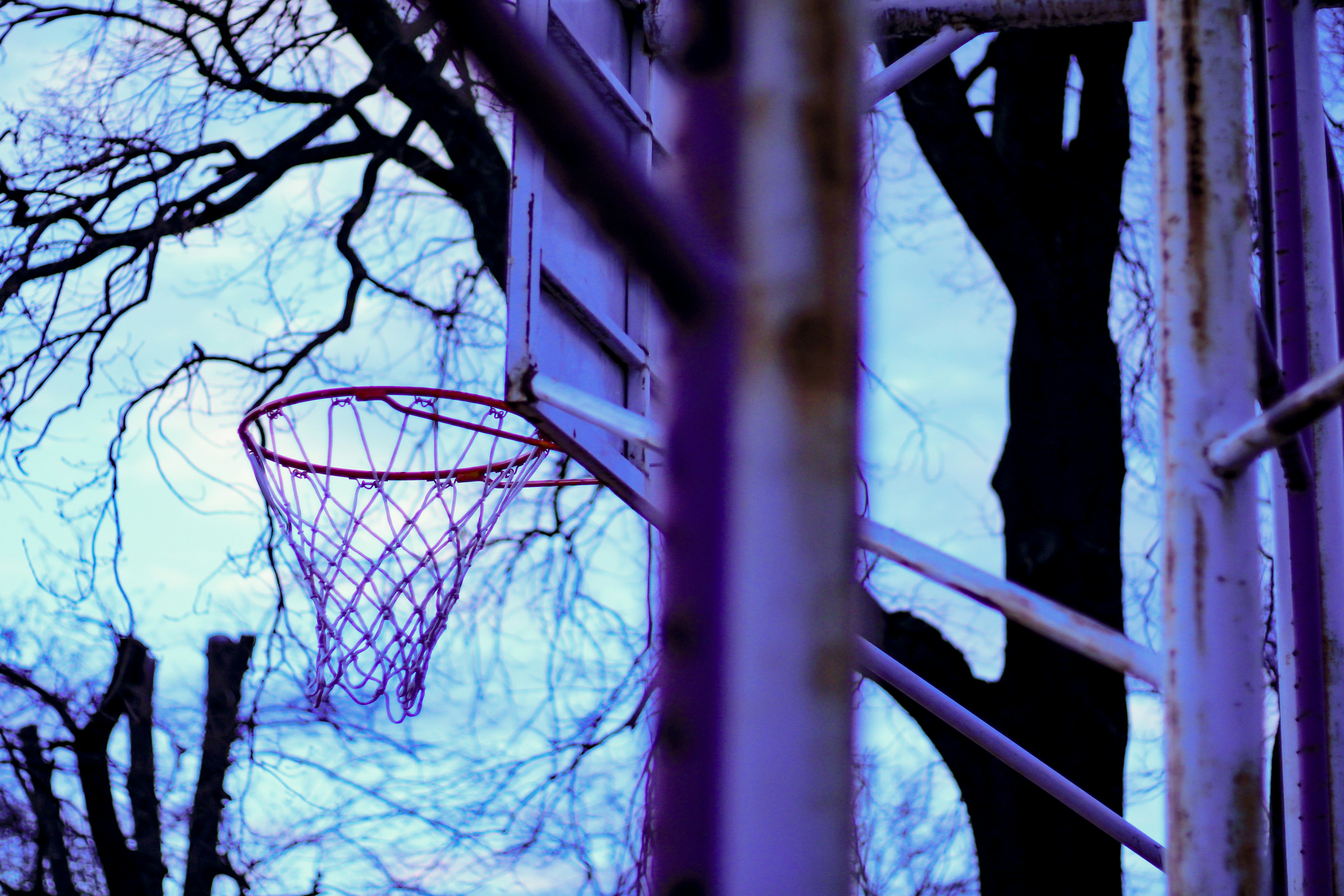 Photo by crisancatalin