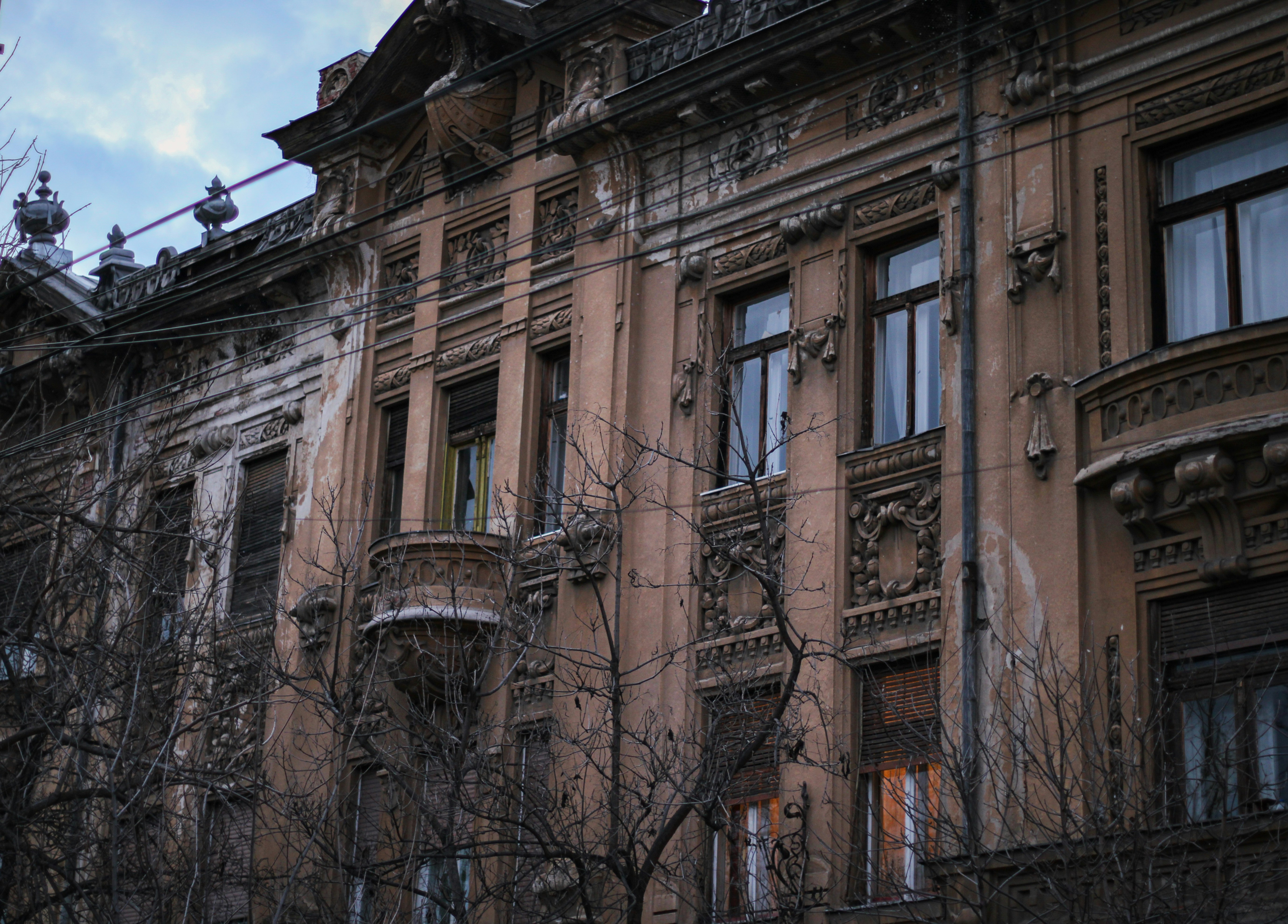 Photo by crisancatalin