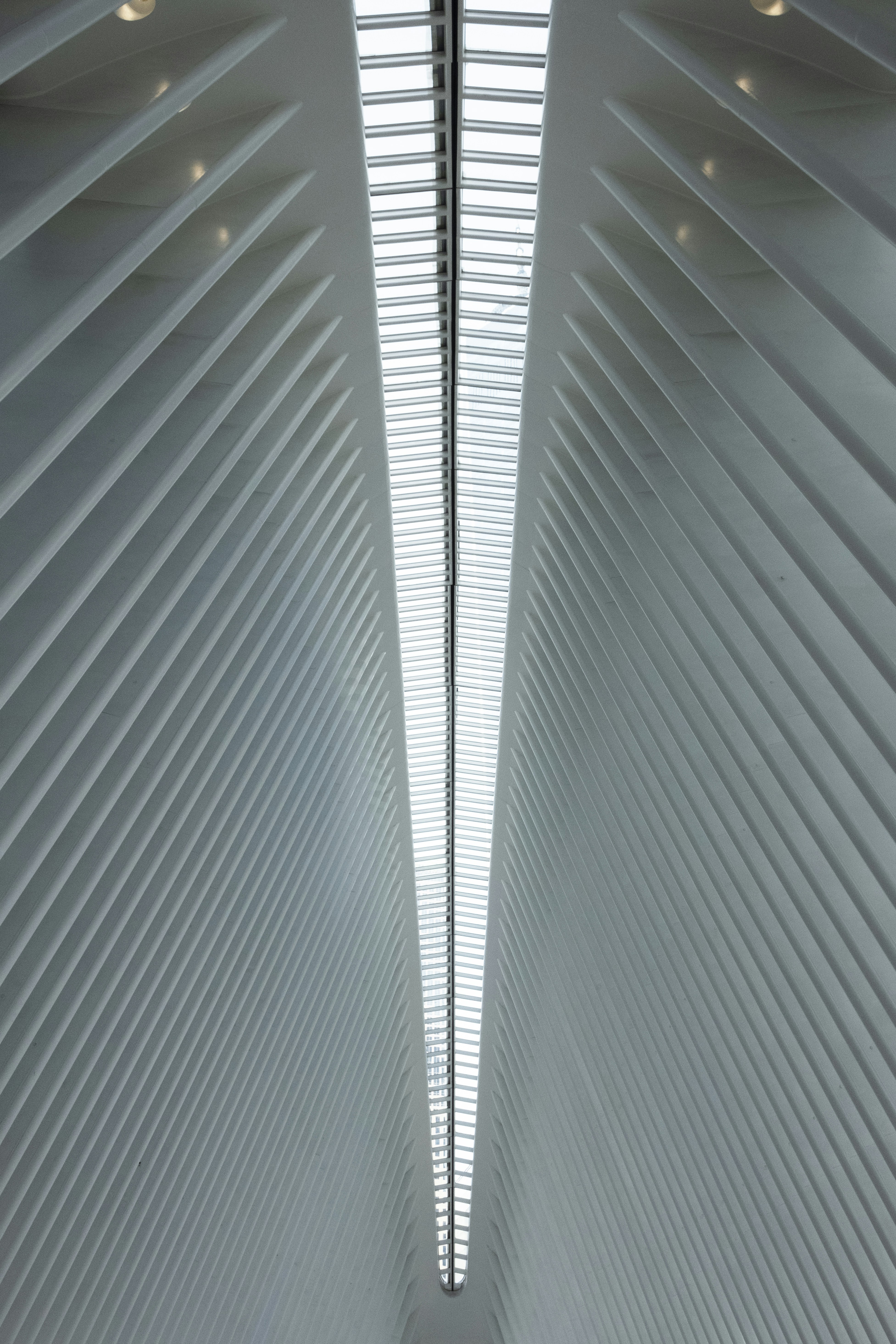 Photo by lloydkearney