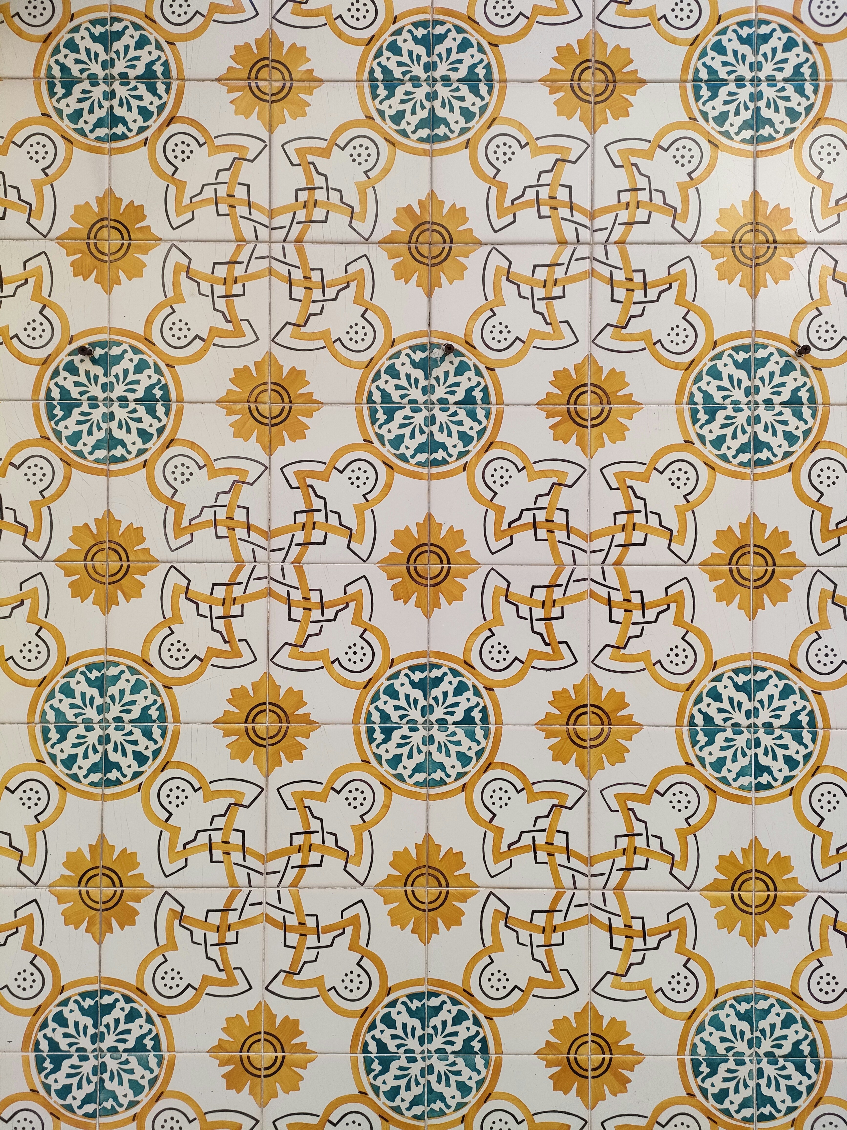 Photo by sophie_wild_wisdom