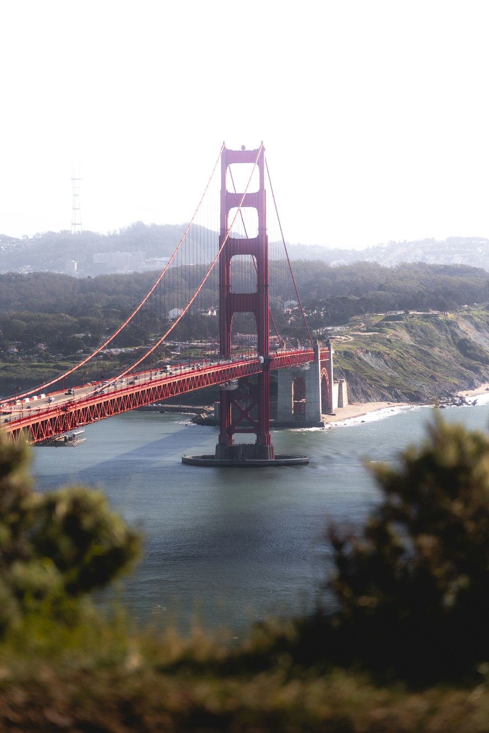 a view of the golden gate bridge from the top of a hill