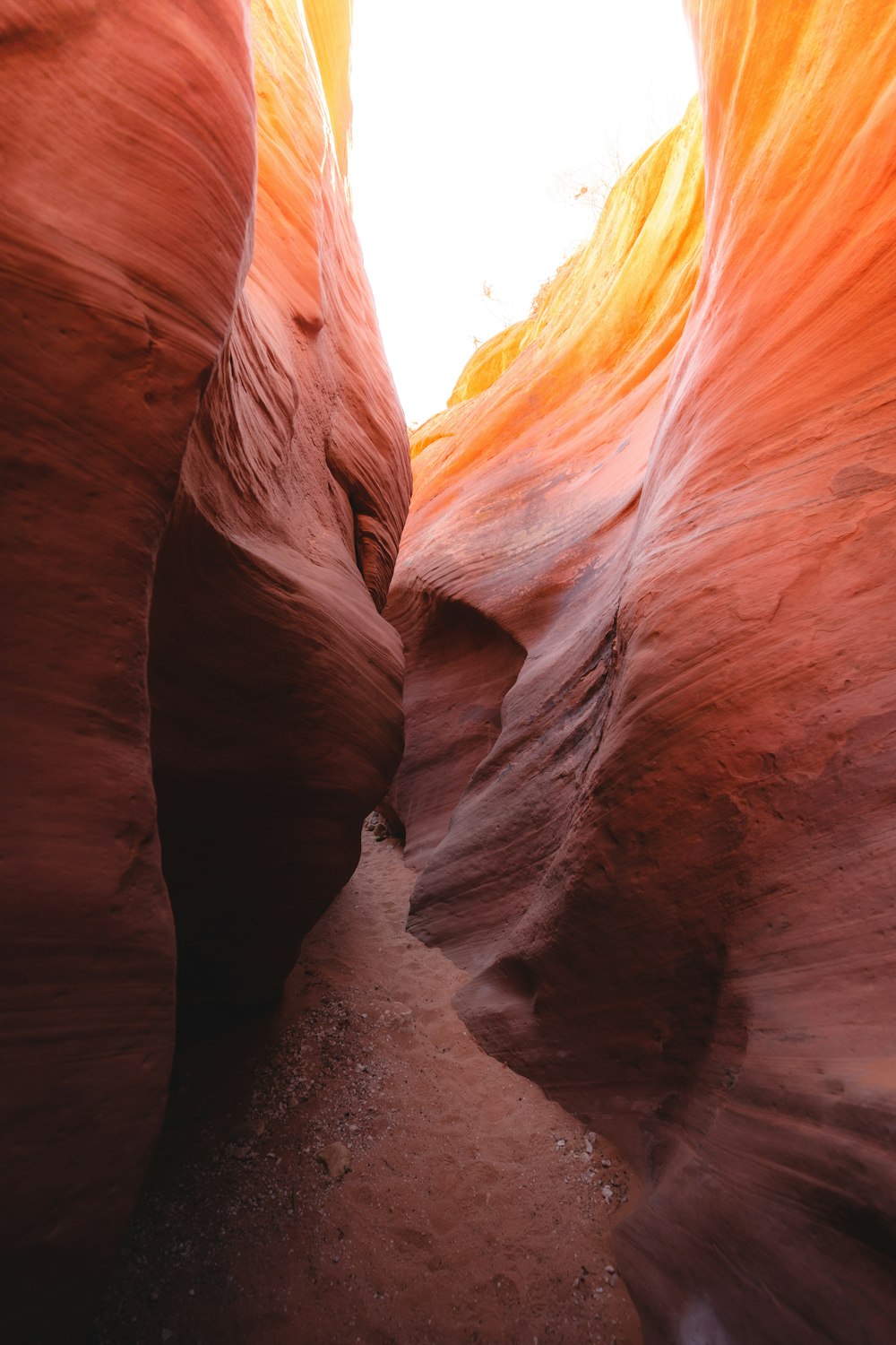 a narrow slot in the side of a canyon