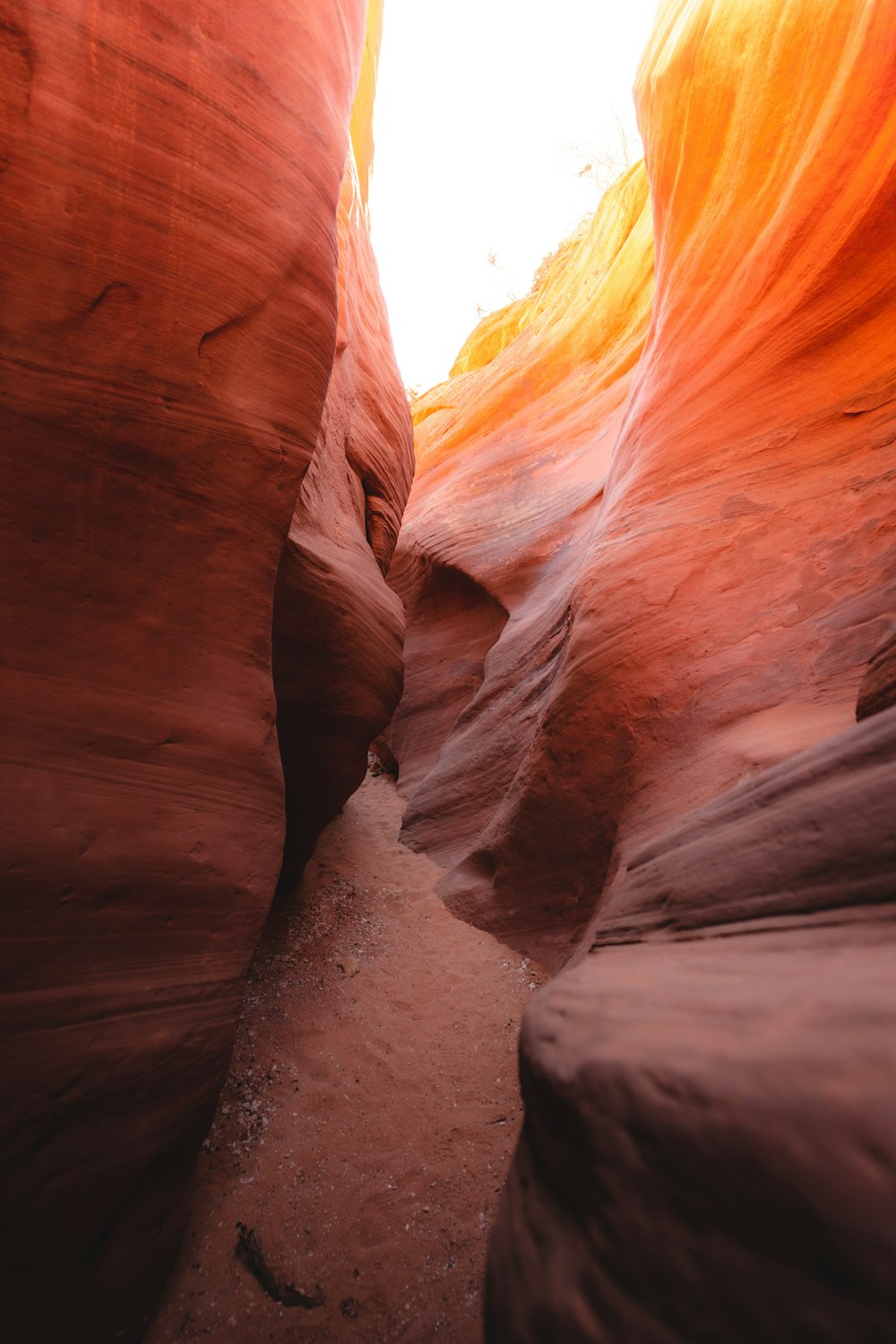 a narrow slot in the side of a canyon