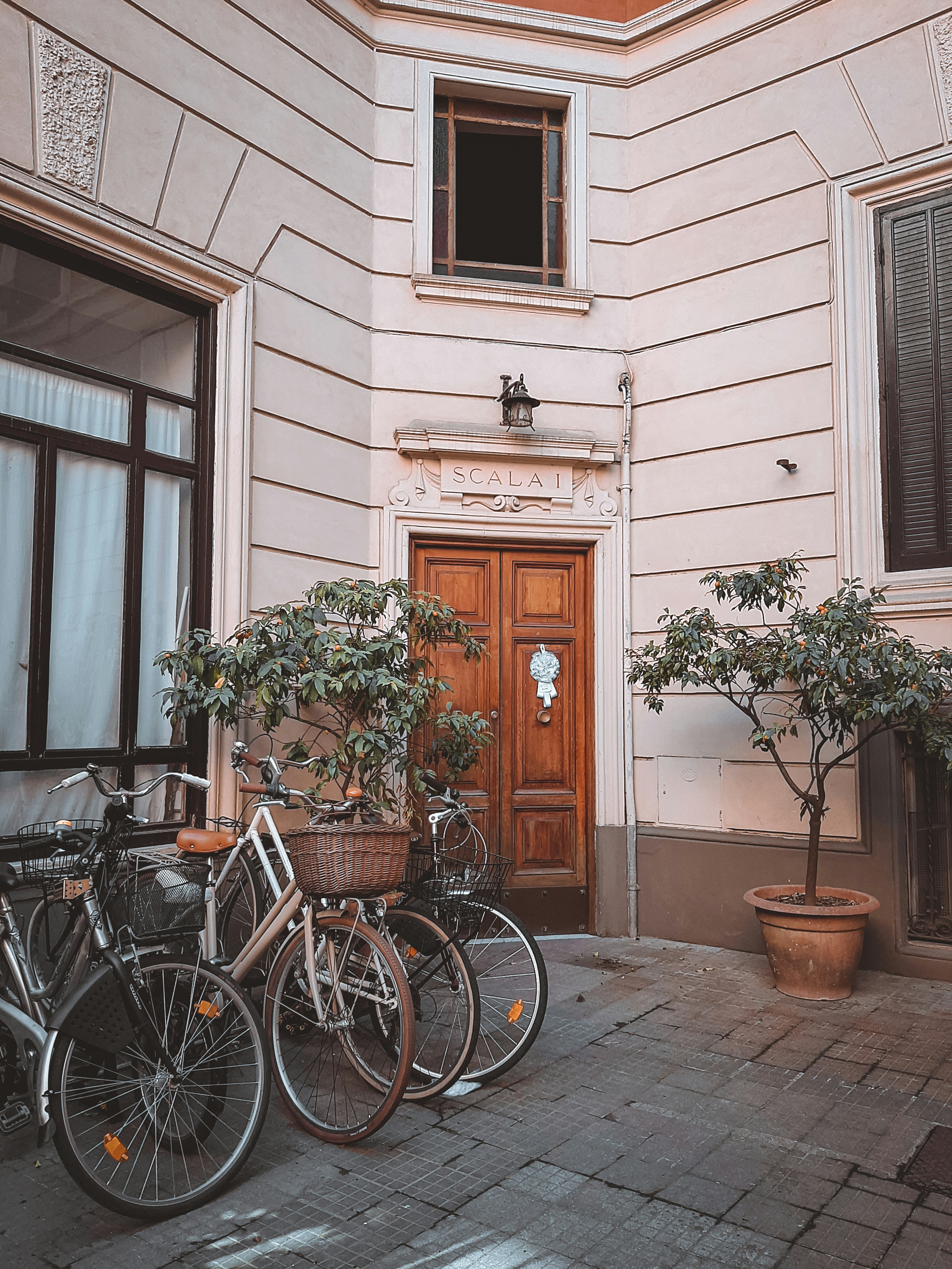 Photo by sofiavilaflor