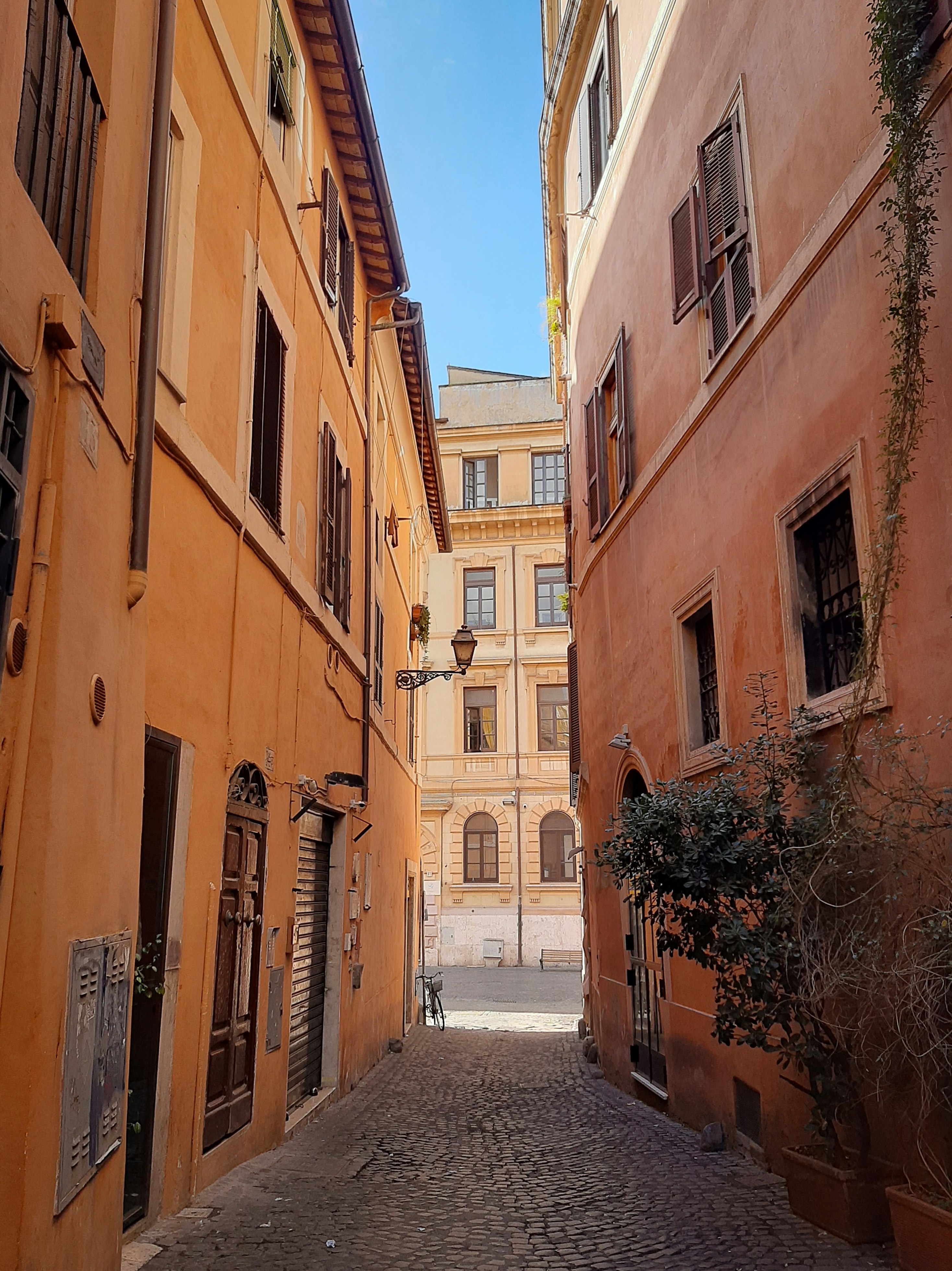 Photo by sofiavilaflor