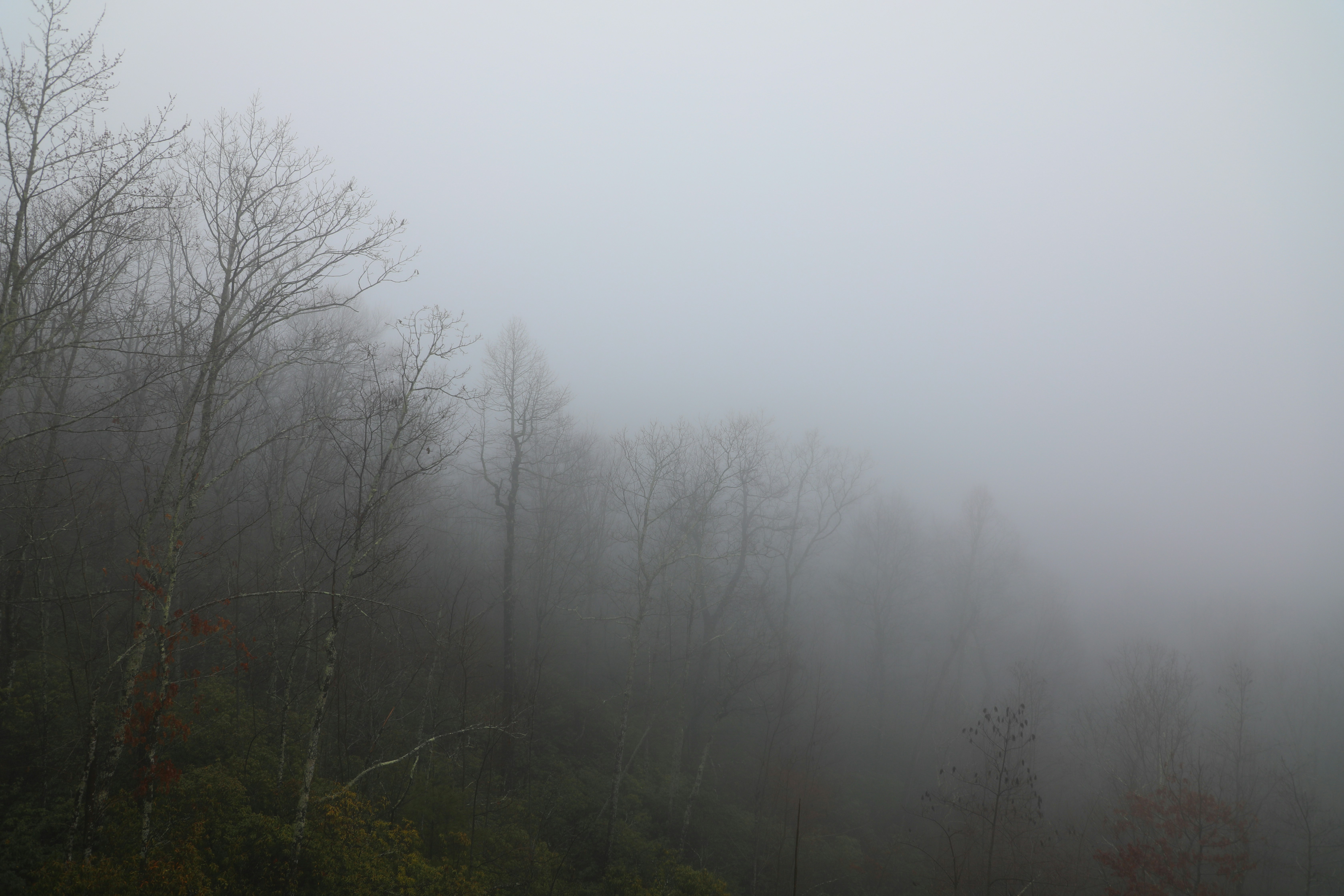 Photo by michaelbweidner