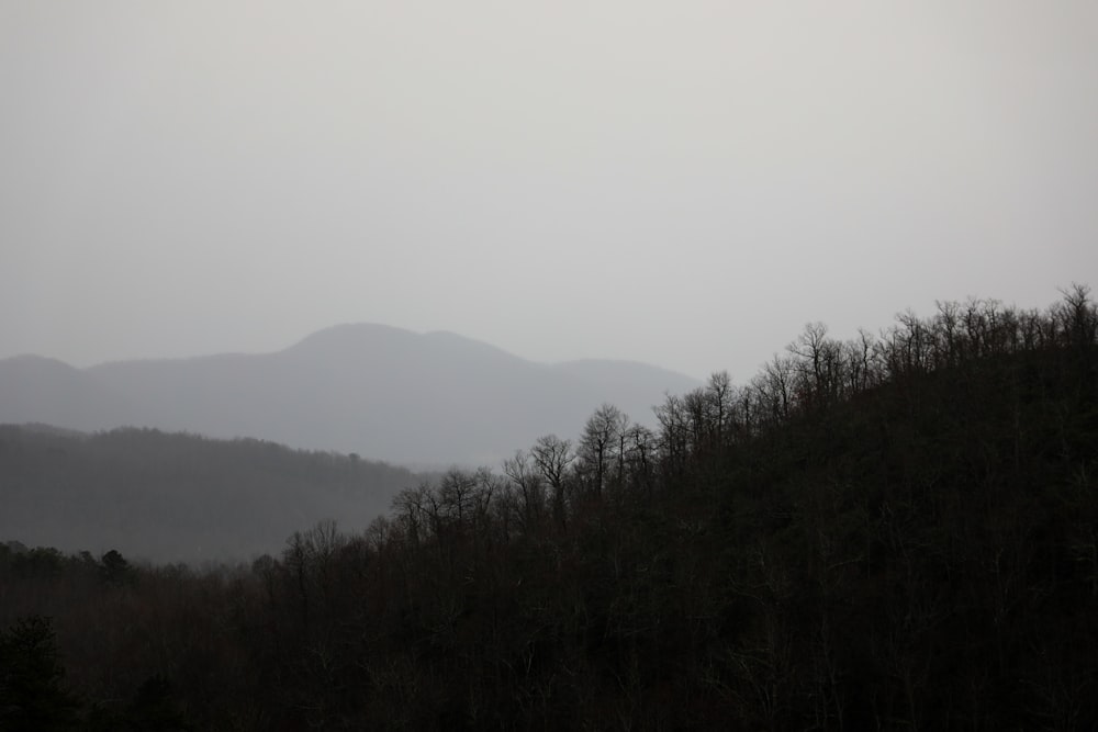 a foggy mountain with trees and hills in the distance