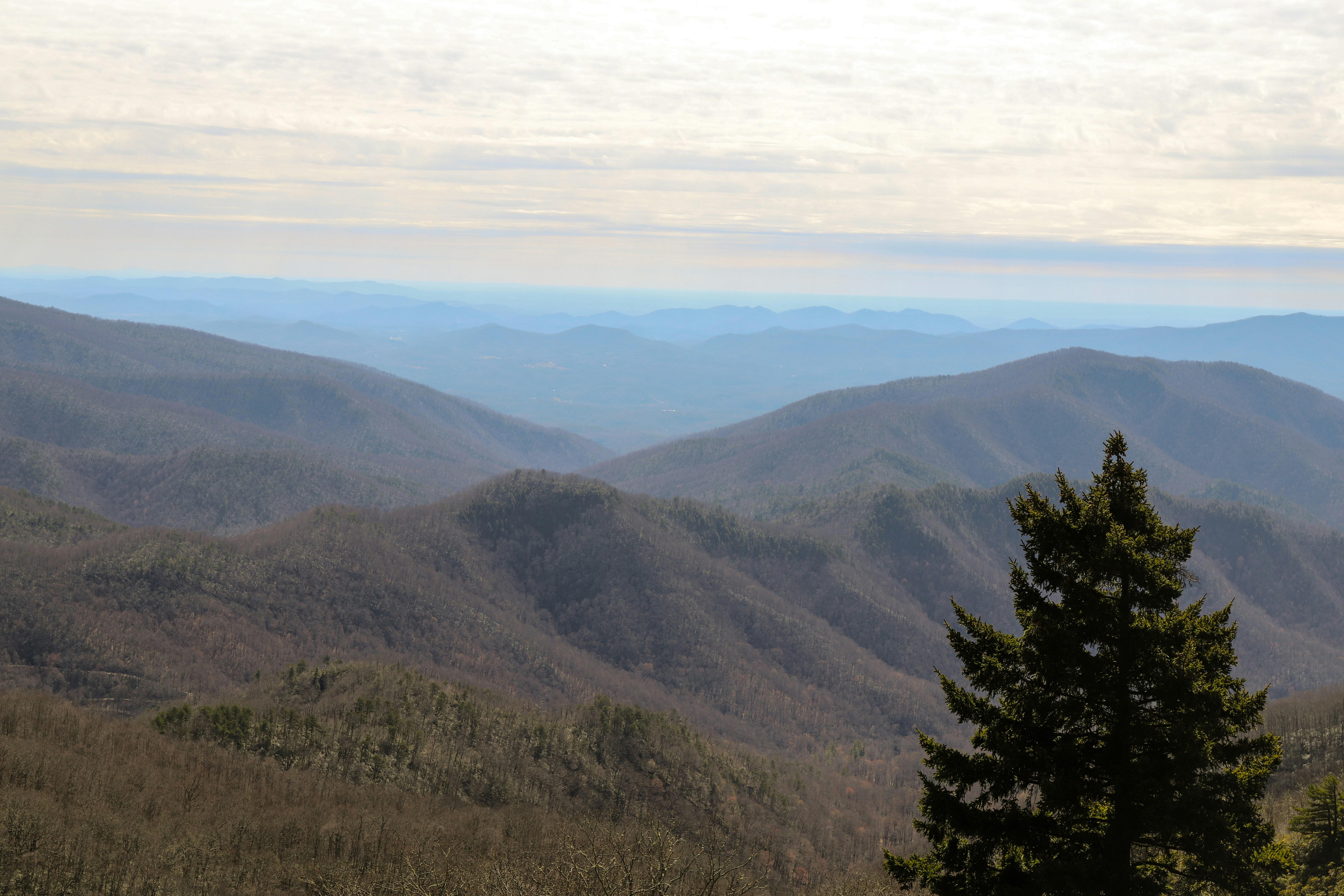 Photo by michaelbweidner