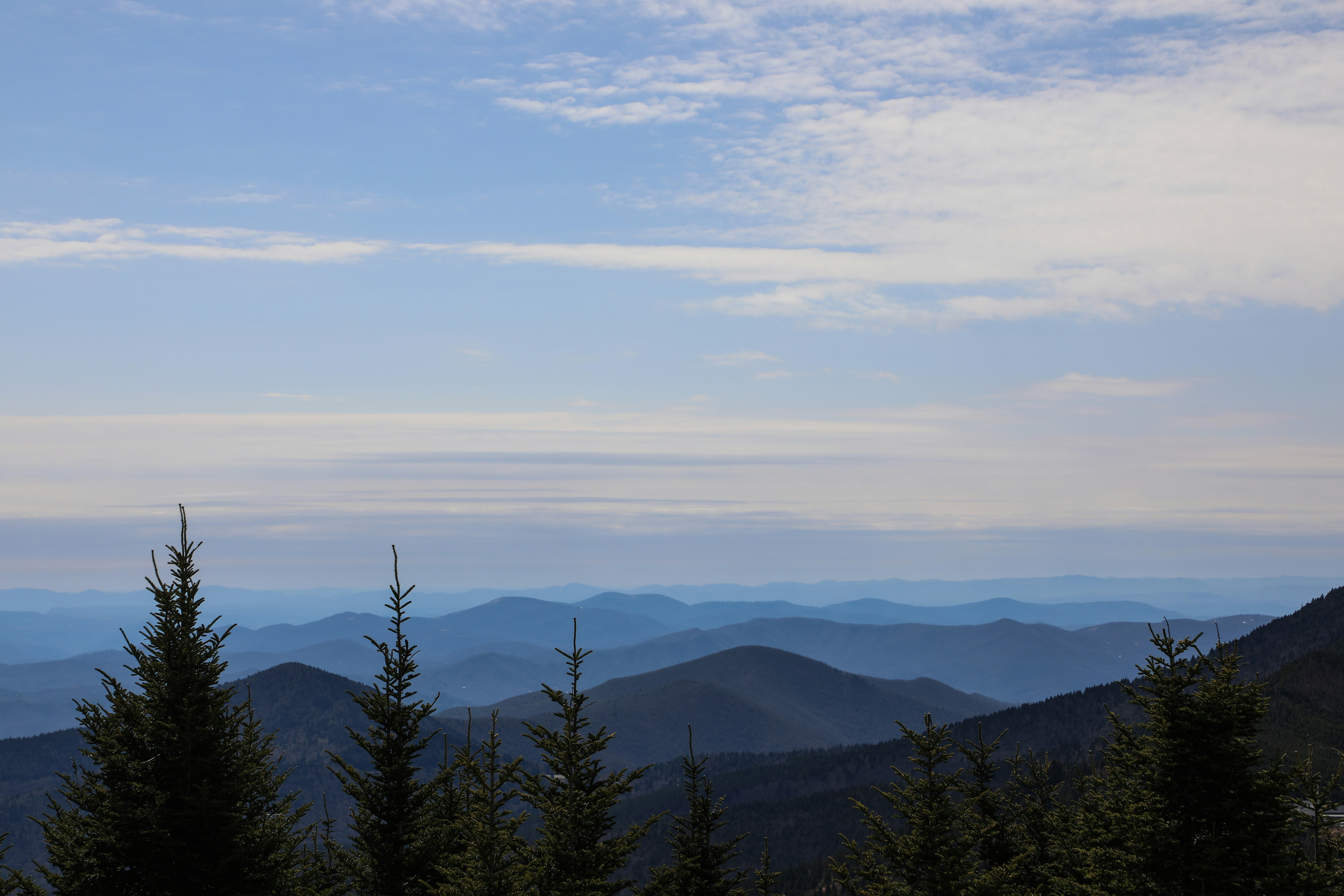 Photo by michaelbweidner