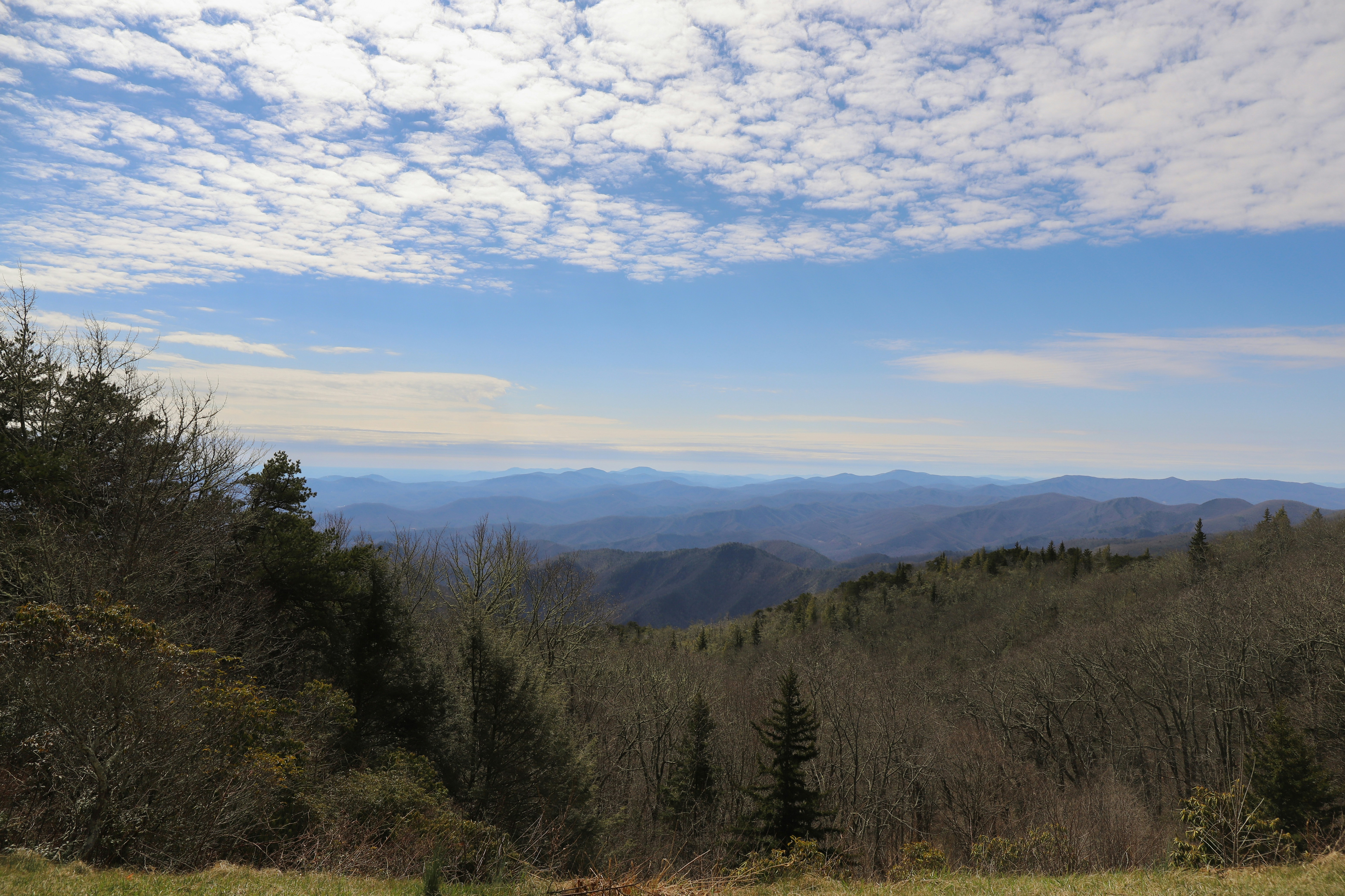 Photo by michaelbweidner