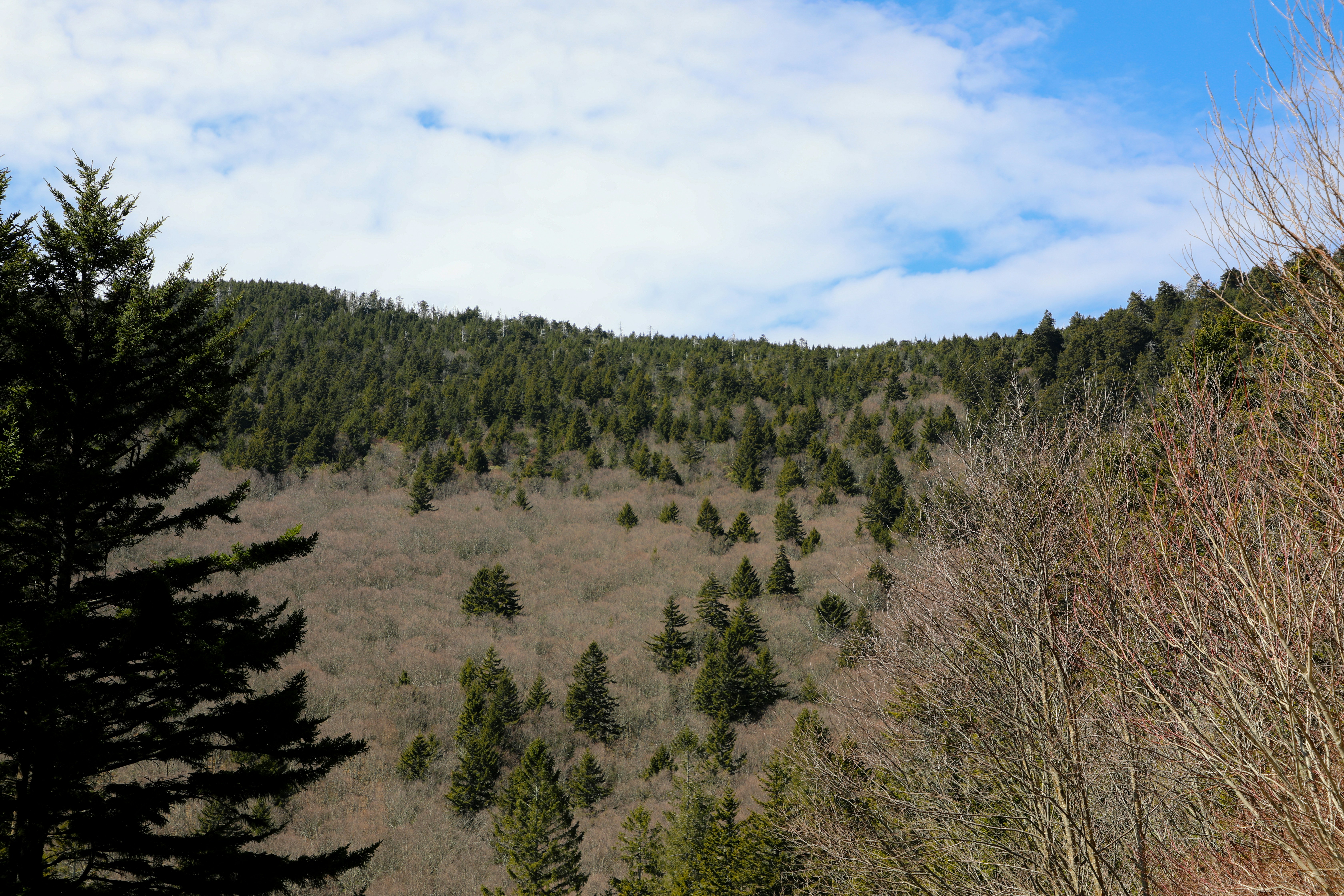 Photo by michaelbweidner