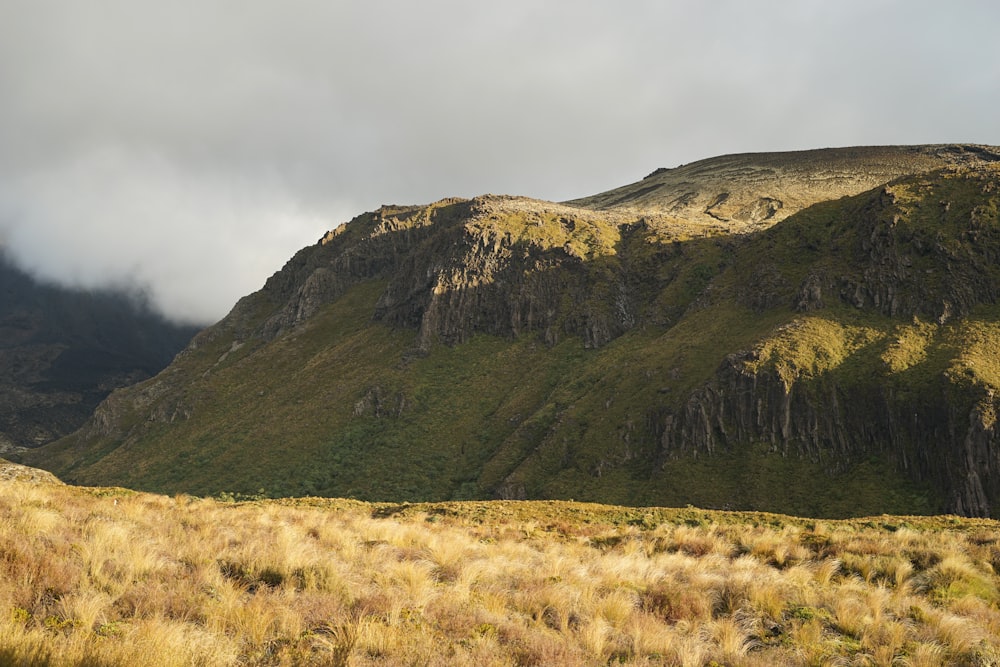 Un campo cubierto de hierba con una montaña al fondo