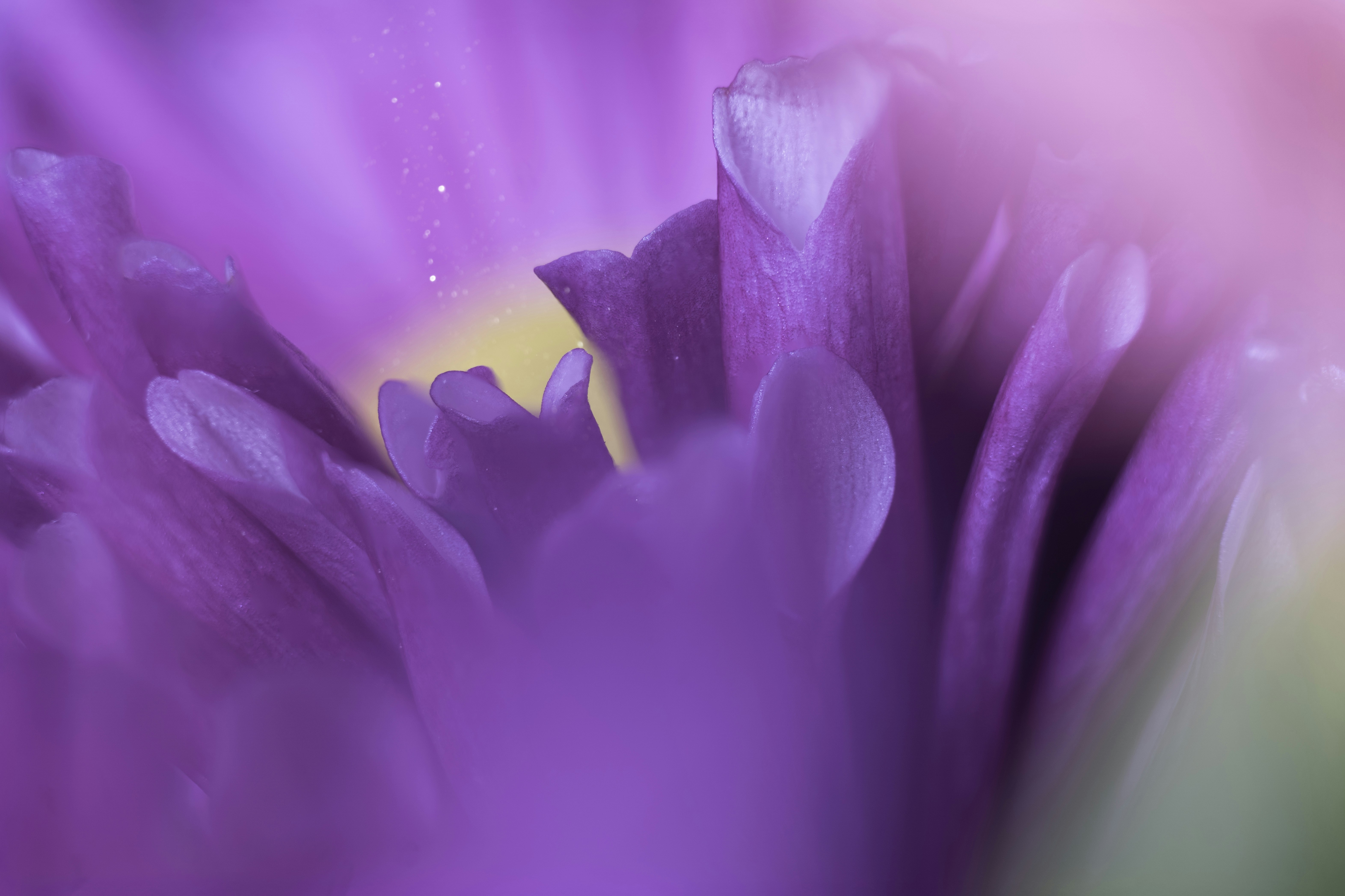 Photo by mharrisonphotography