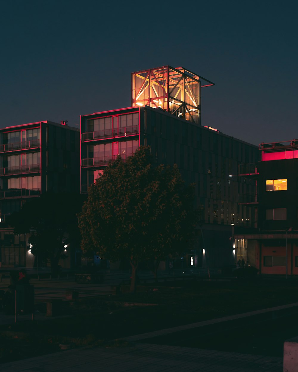 밤에 불이 켜진 건물 앞에 나무가 있는 건물
