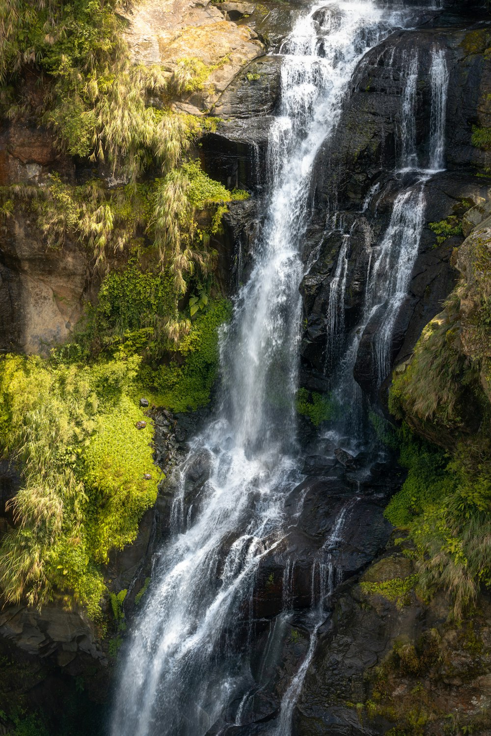 Une cascade au milieu d’une forêt verdoyante