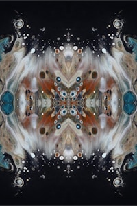 Fractal Bloom