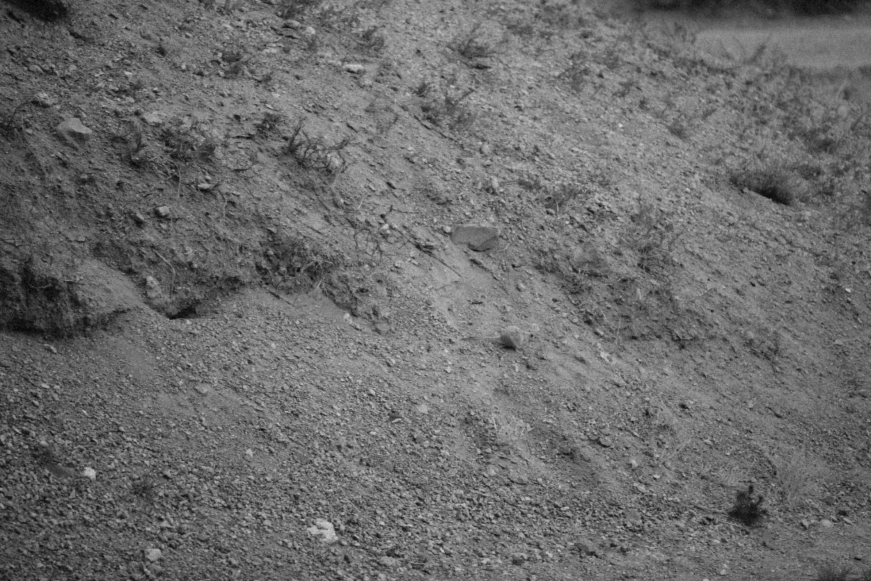 Photo by alexeydemidov