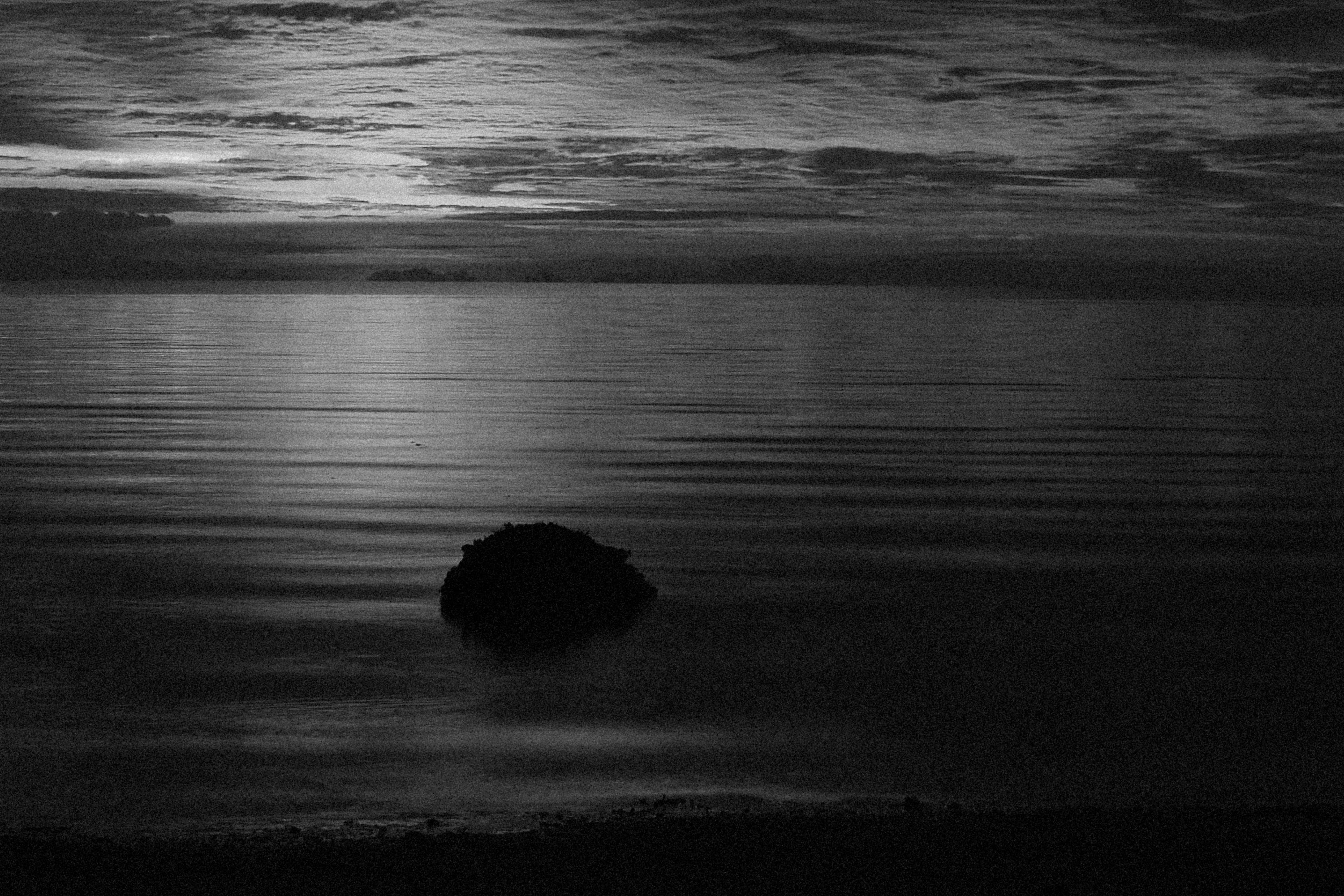 Photo by alexeydemidov