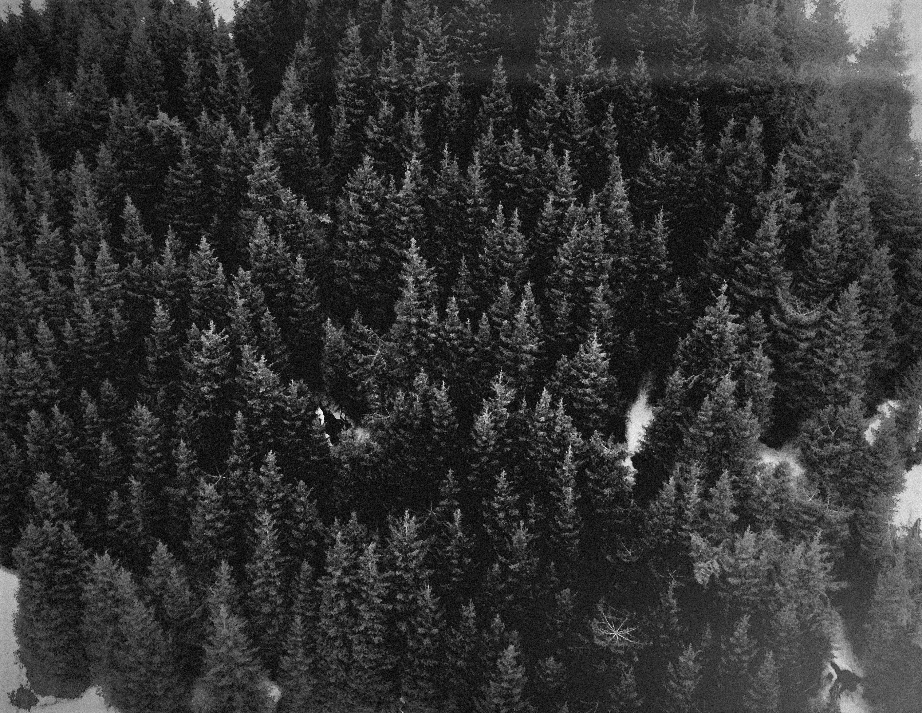 Photo by alexeydemidov