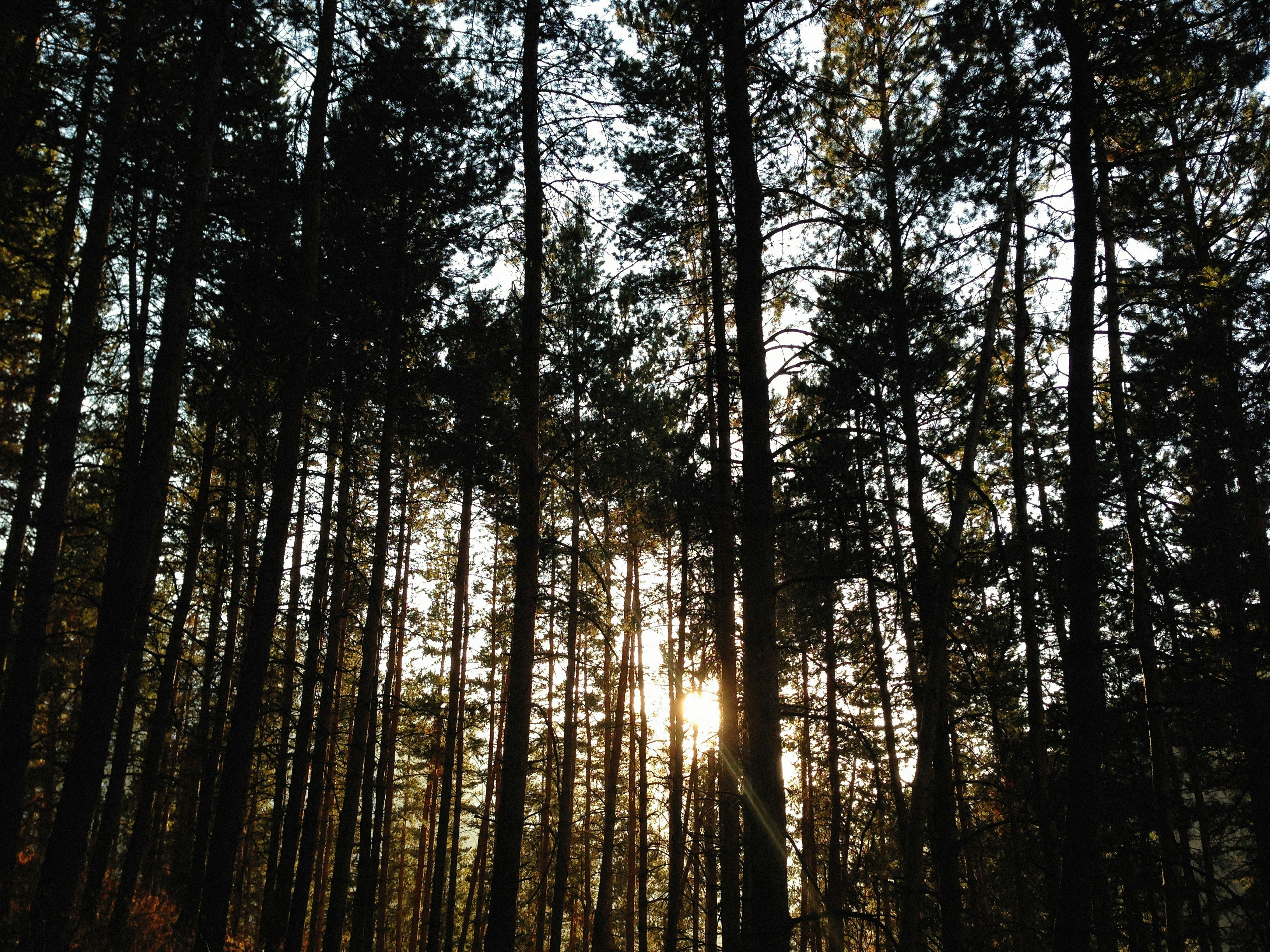 Photo by alexeydemidov