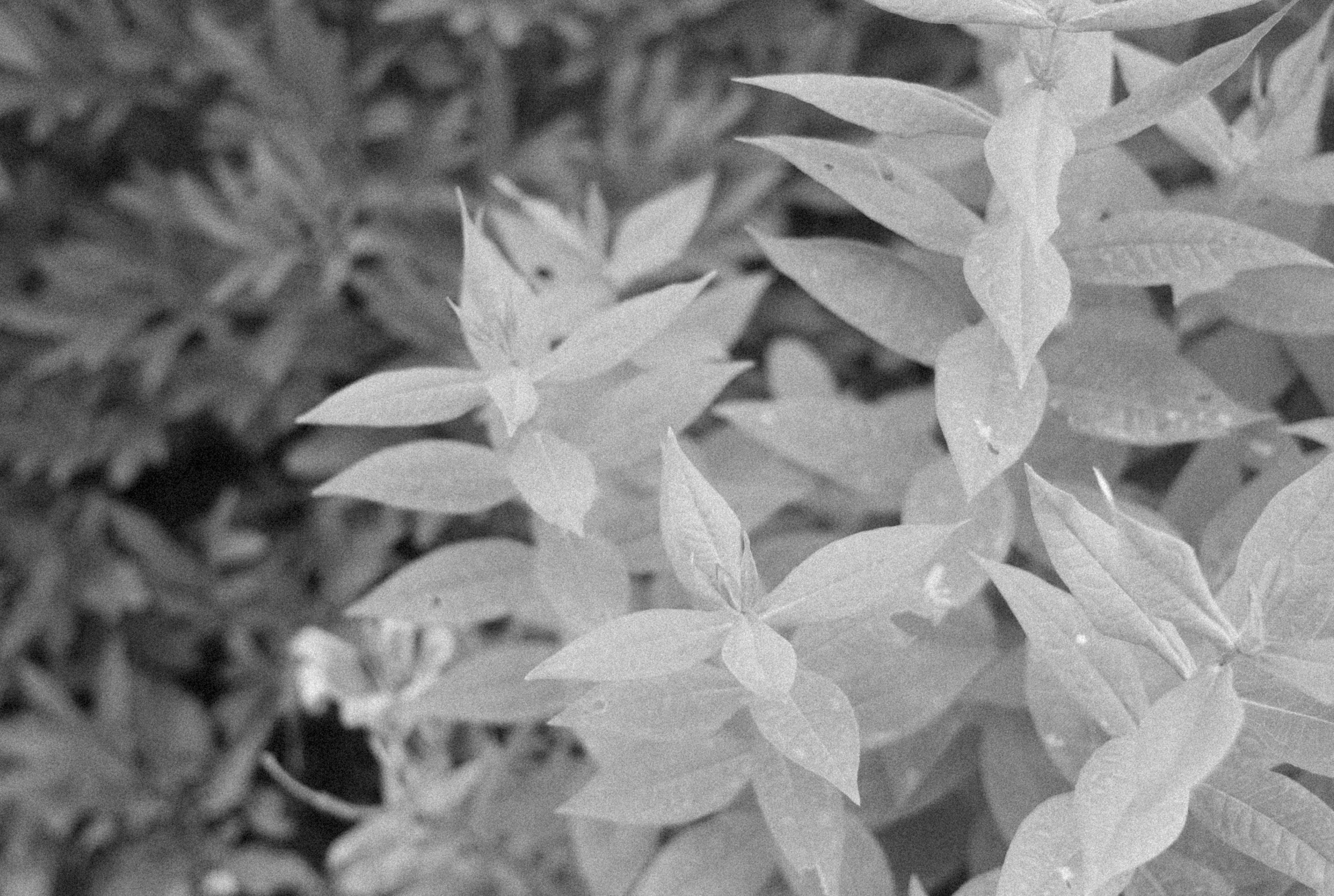 Photo by alexeydemidov