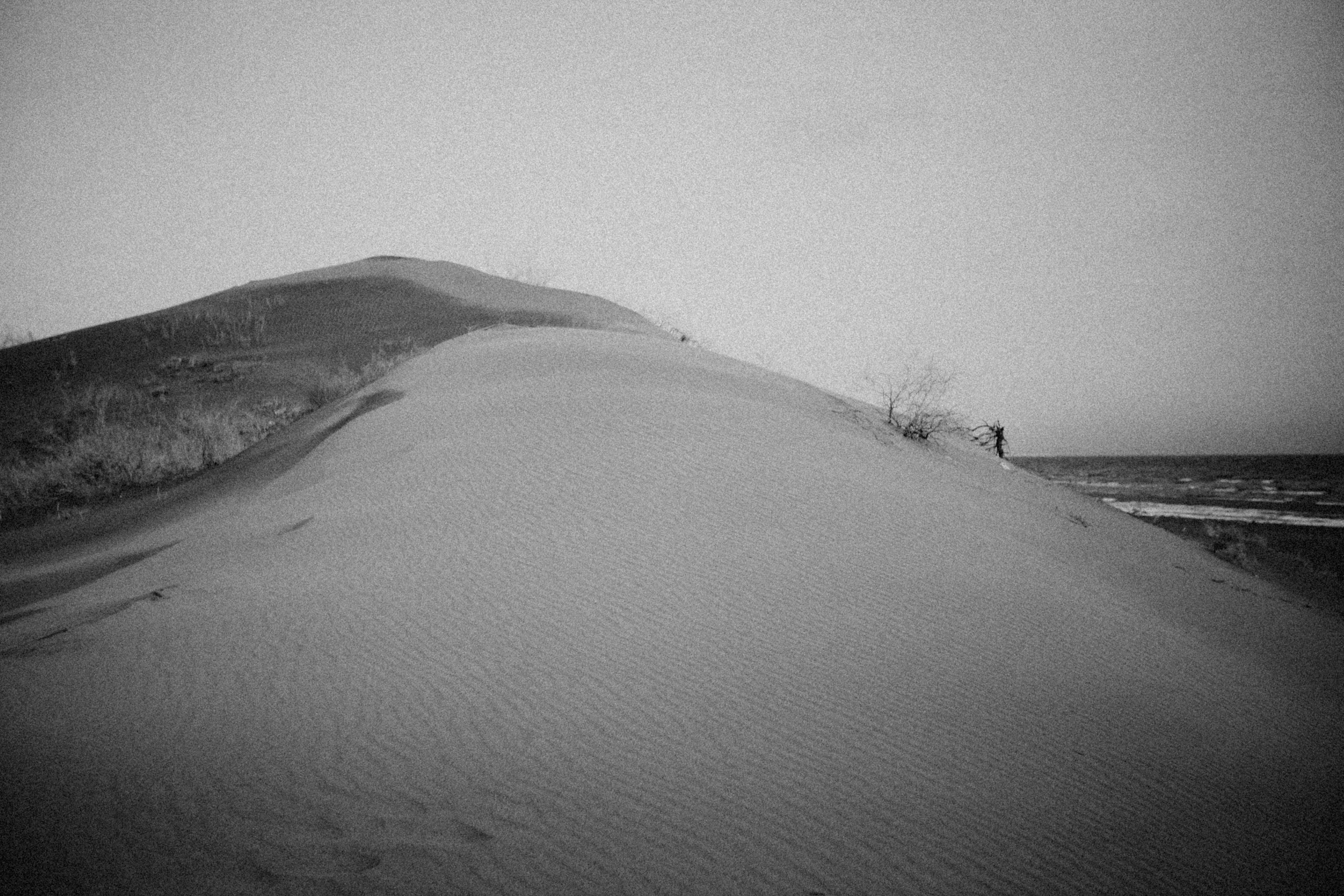 Photo by alexeydemidov