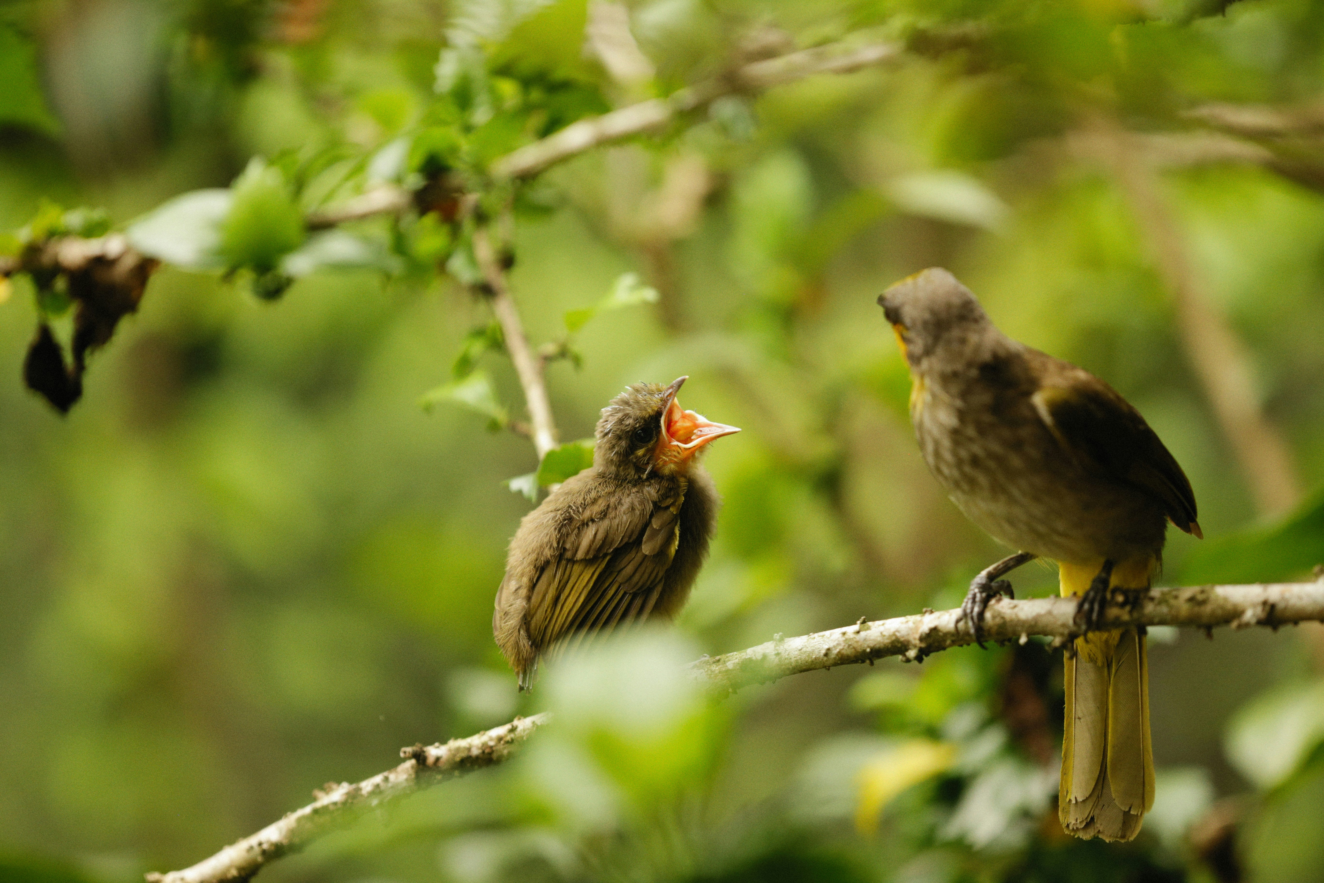 Photo by alexeydemidov