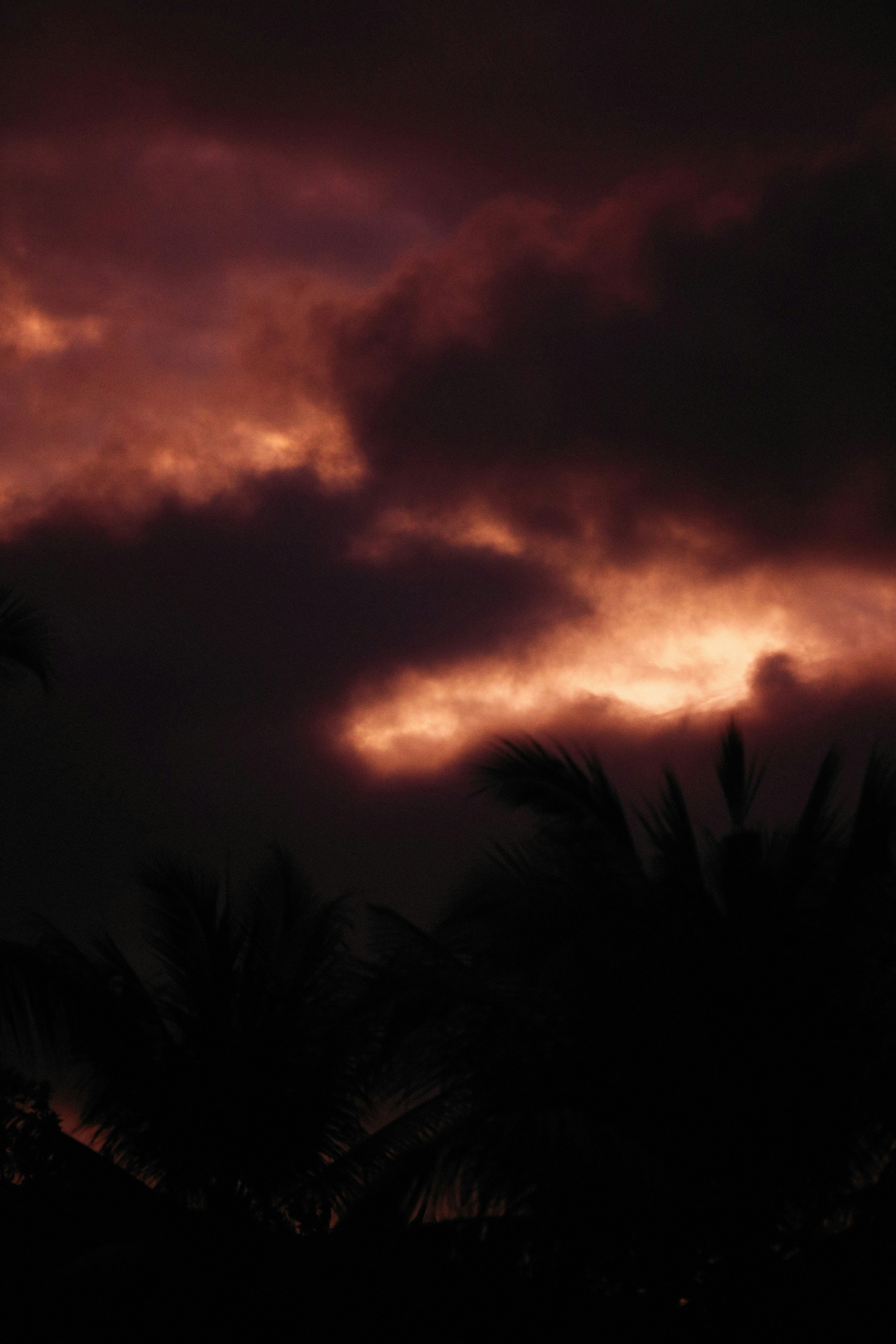 Photo by alexeydemidov