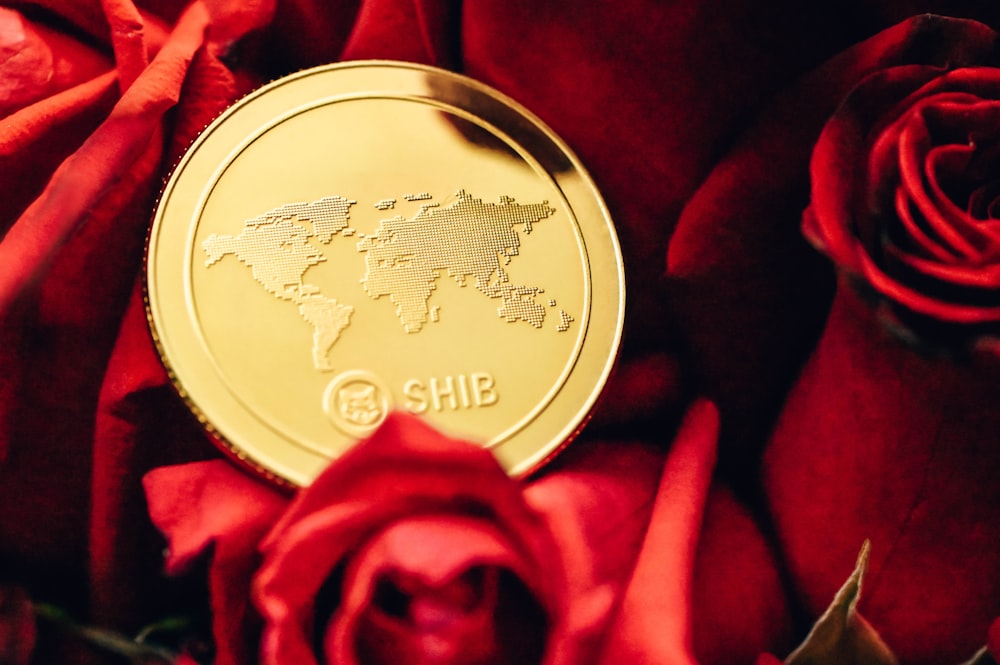 a gold coin sitting on top of a red rose