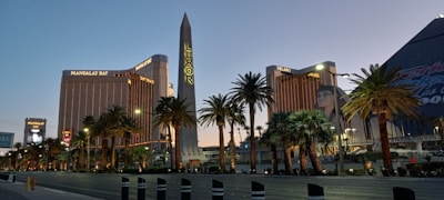 The image captures a cityscape at twilight featuring various famous hotels and casinos. Palm trees line the foreground, while prominent buildings like Mandalay Bay, Luxor, and Delano are visible in the background. The sky is a gradient of blue and orange as the night approaches, with artificial lights illuminating the scene.