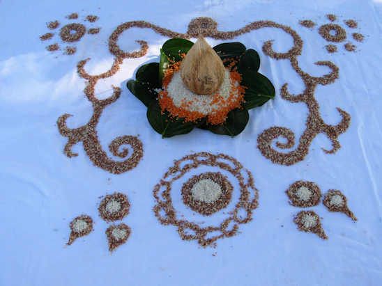 A vibrant spread of millet grains, fresh coconuts, and colorful fruits arranged on a rustic wooden table.