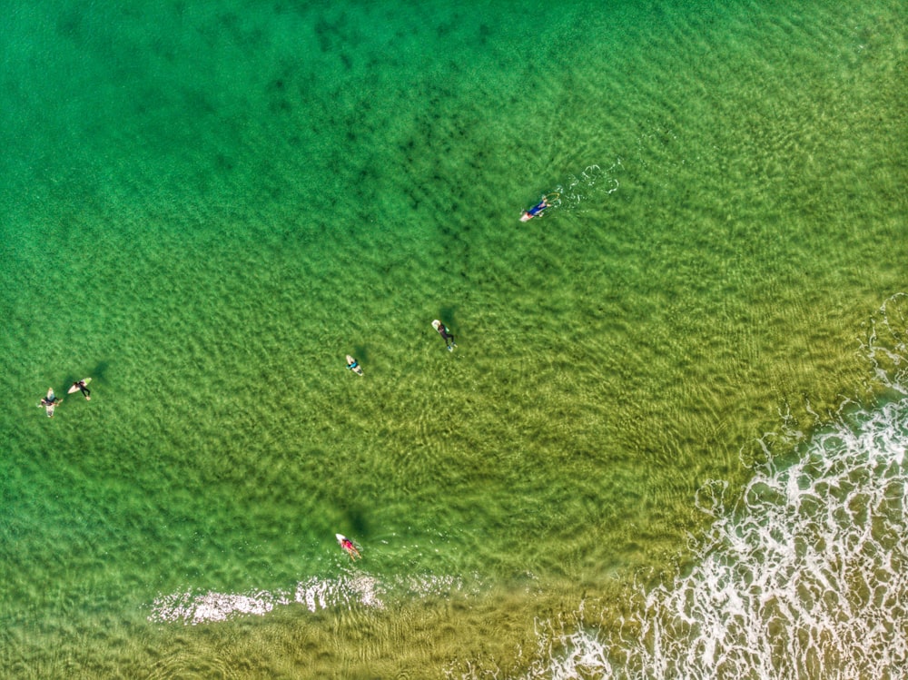 a close up of a green field