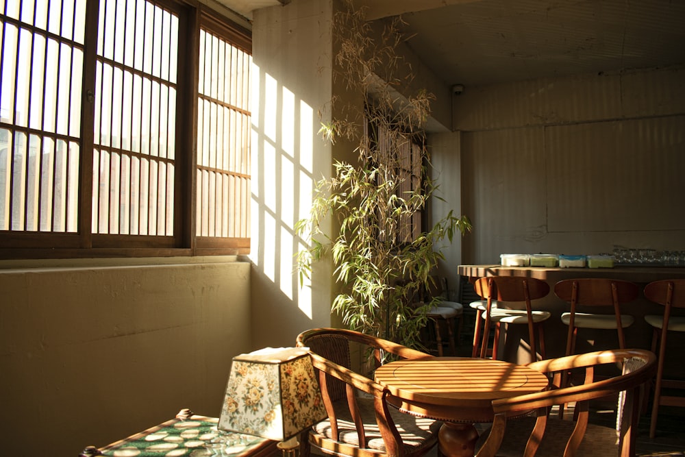 a room with a table, chairs and a potted plant