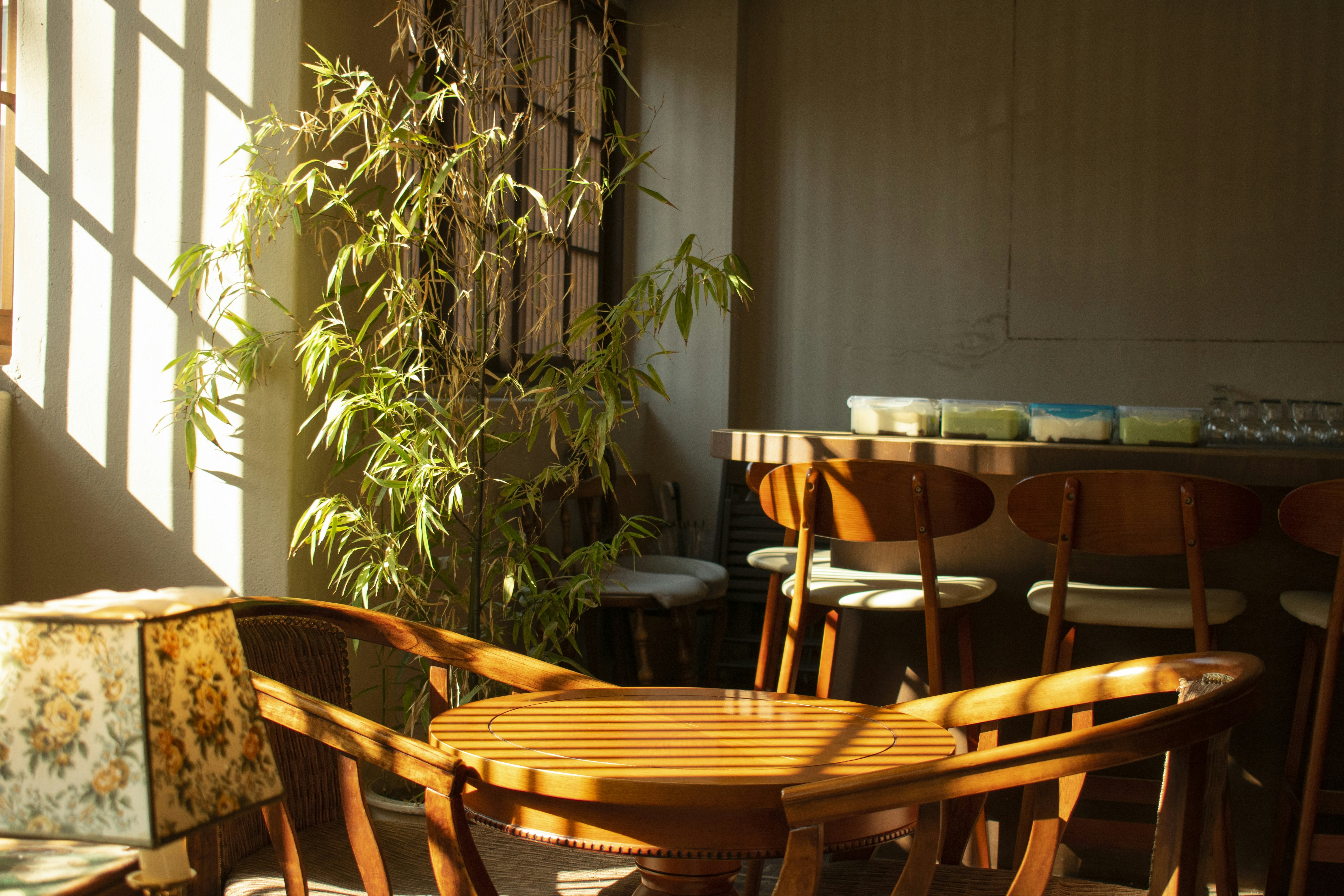 Photo by jennypark501