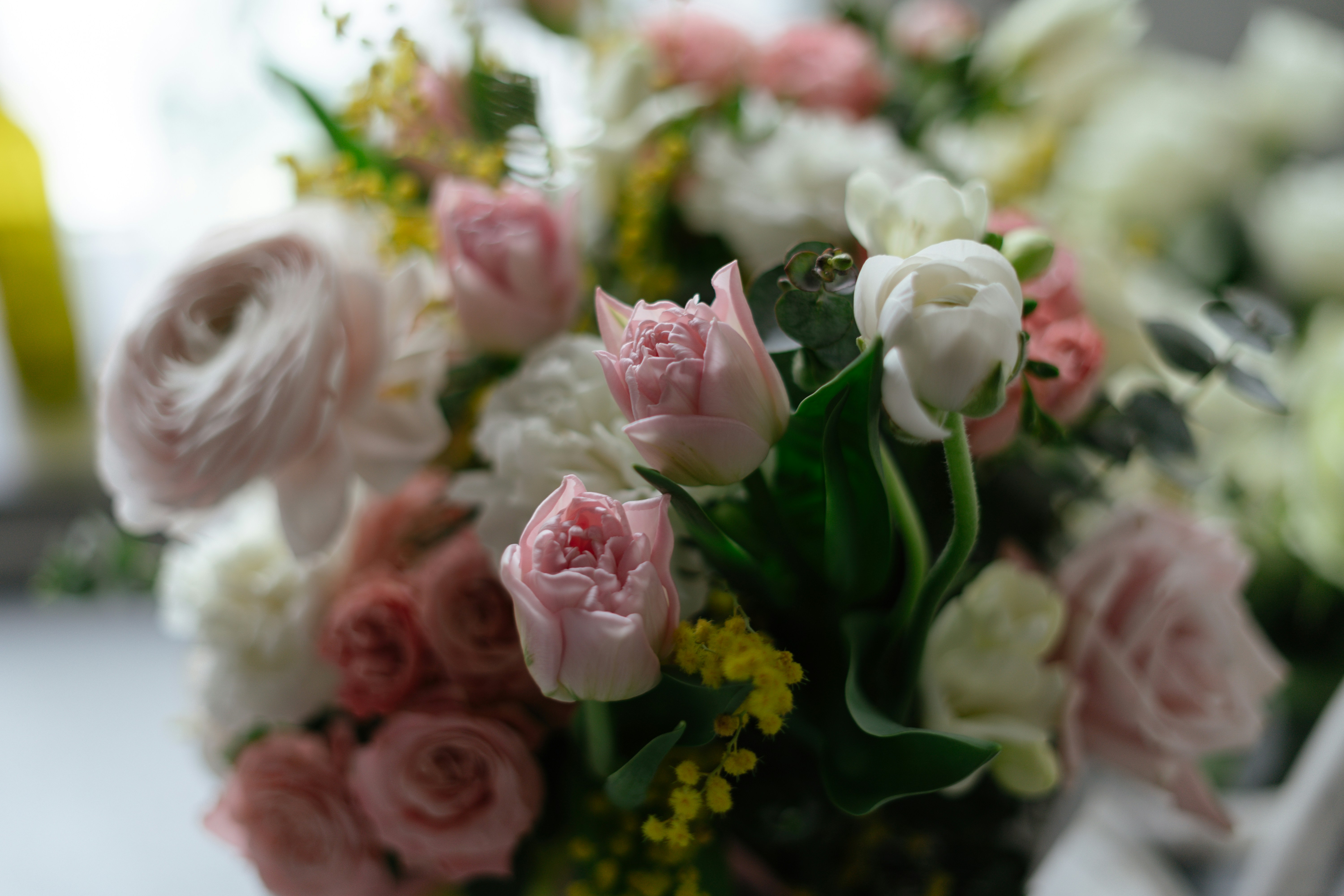 Photo by albina___white