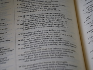 The image features an open book with text printed in a structured column format. The text consists of poetic or prose-like sentences, with numbers indicating sections or verses. The page has a matte finish, and the text is primarily in black ink on an off-white background. The book is slightly angled, showing two pages partially captured in the frame.