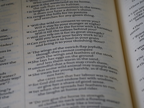 The image features an open book with text printed in a structured column format. The text consists of poetic or prose-like sentences, with numbers indicating sections or verses. The page has a matte finish, and the text is primarily in black ink on an off-white background. The book is slightly angled, showing two pages partially captured in the frame.
