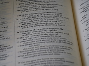 Creative Writing