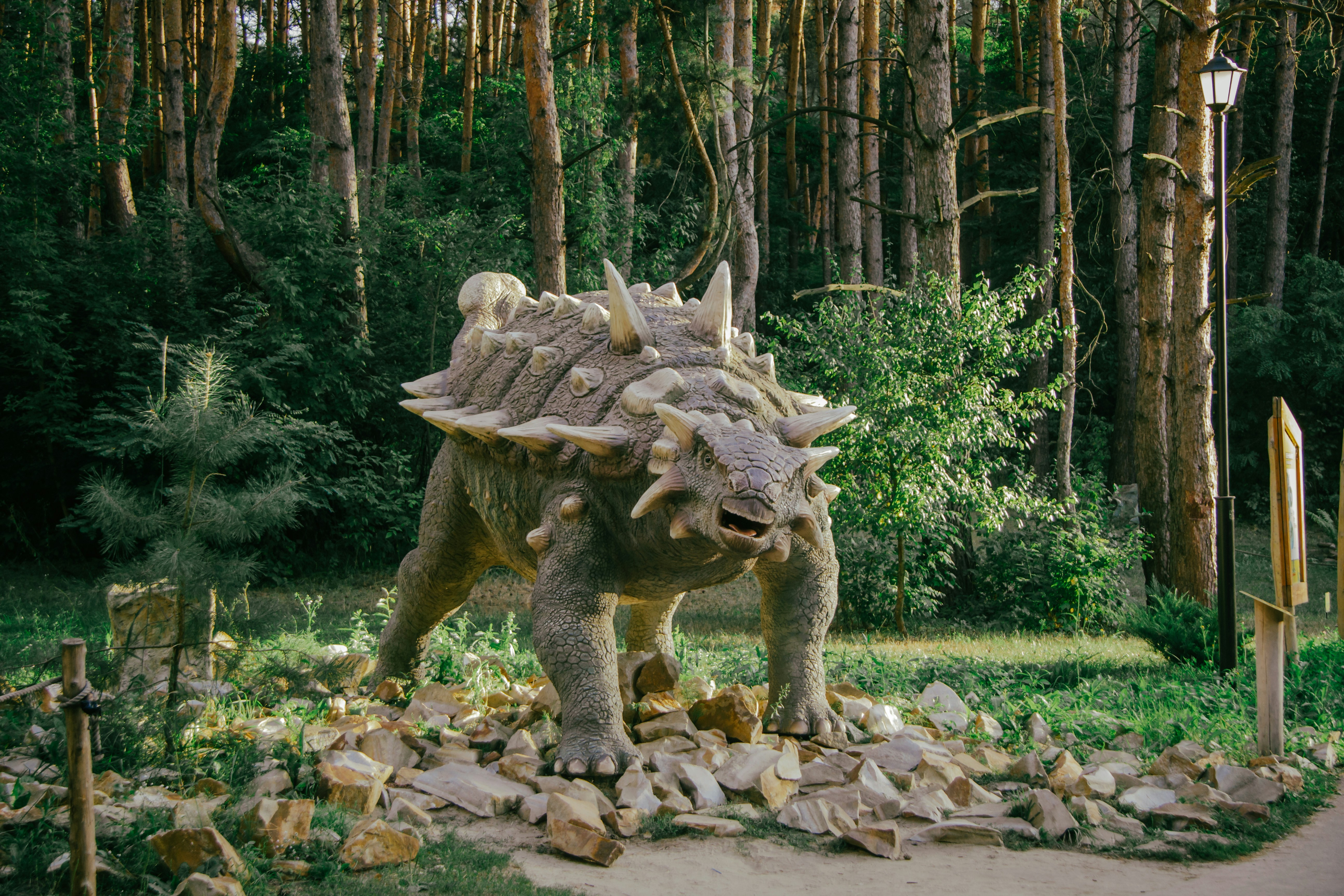 Картинка за отговор на въпрос